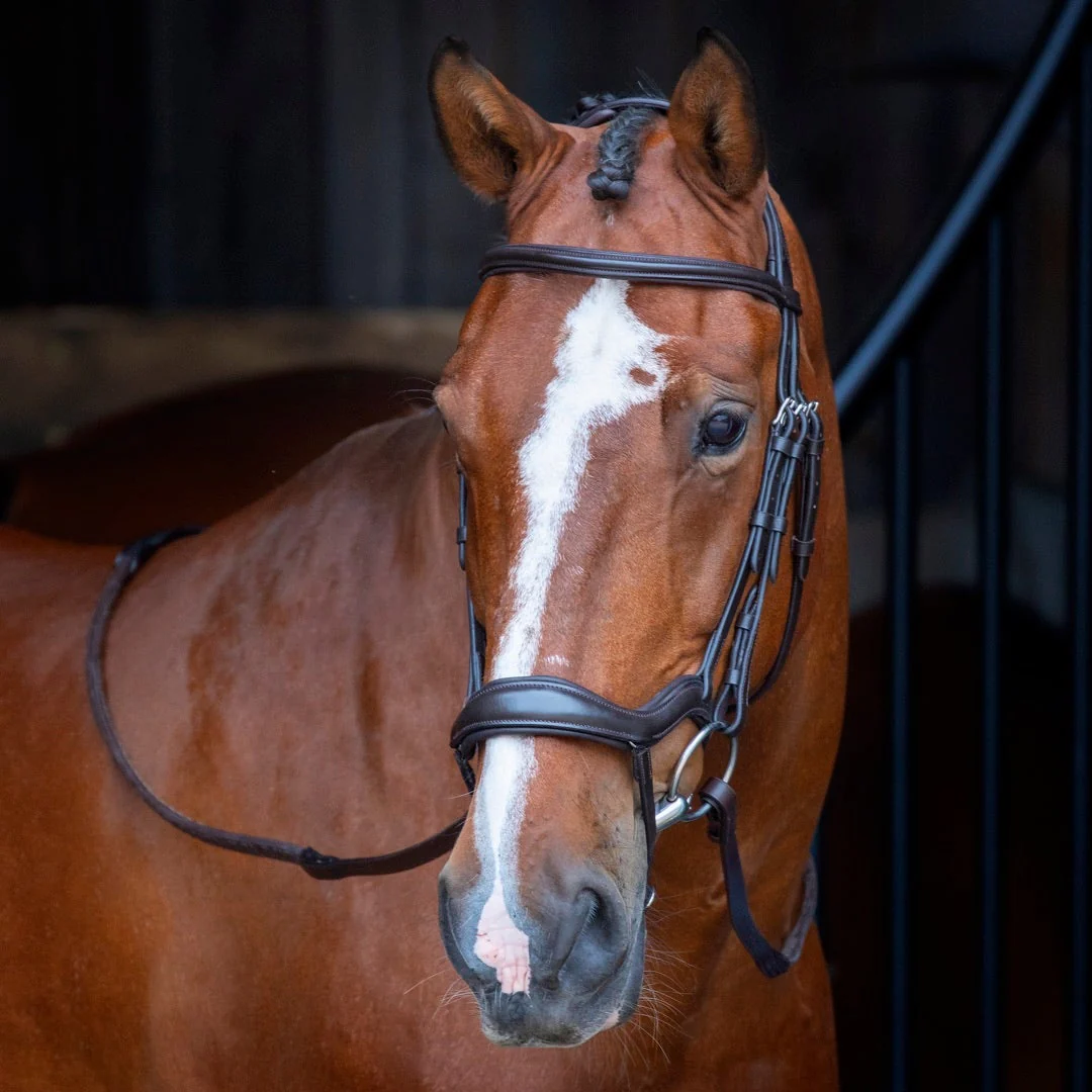 Shires Velociti RAPIDA Ergonomic Flash Bridle - Image 3