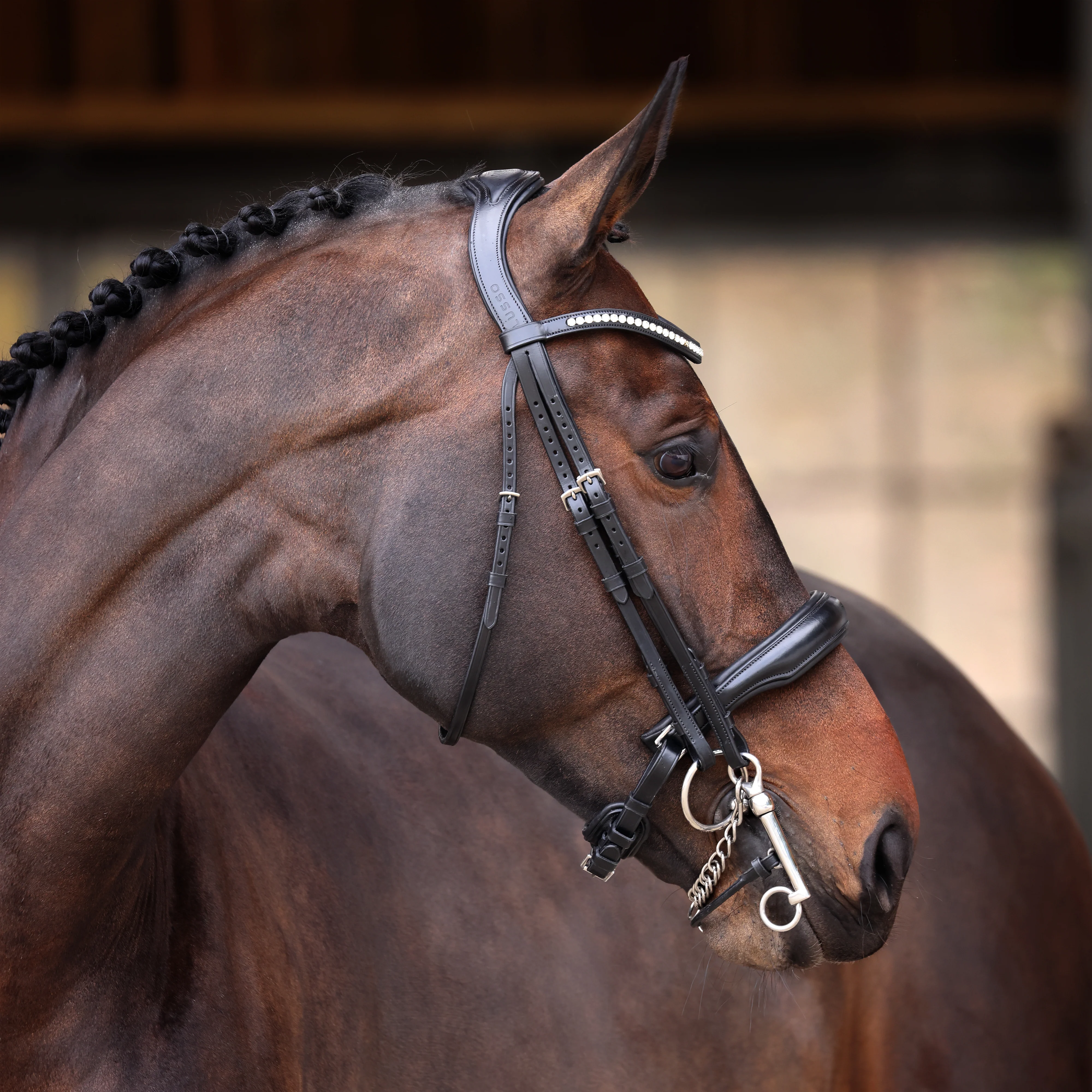Shires Velociti Lusso Elite Double Bridle