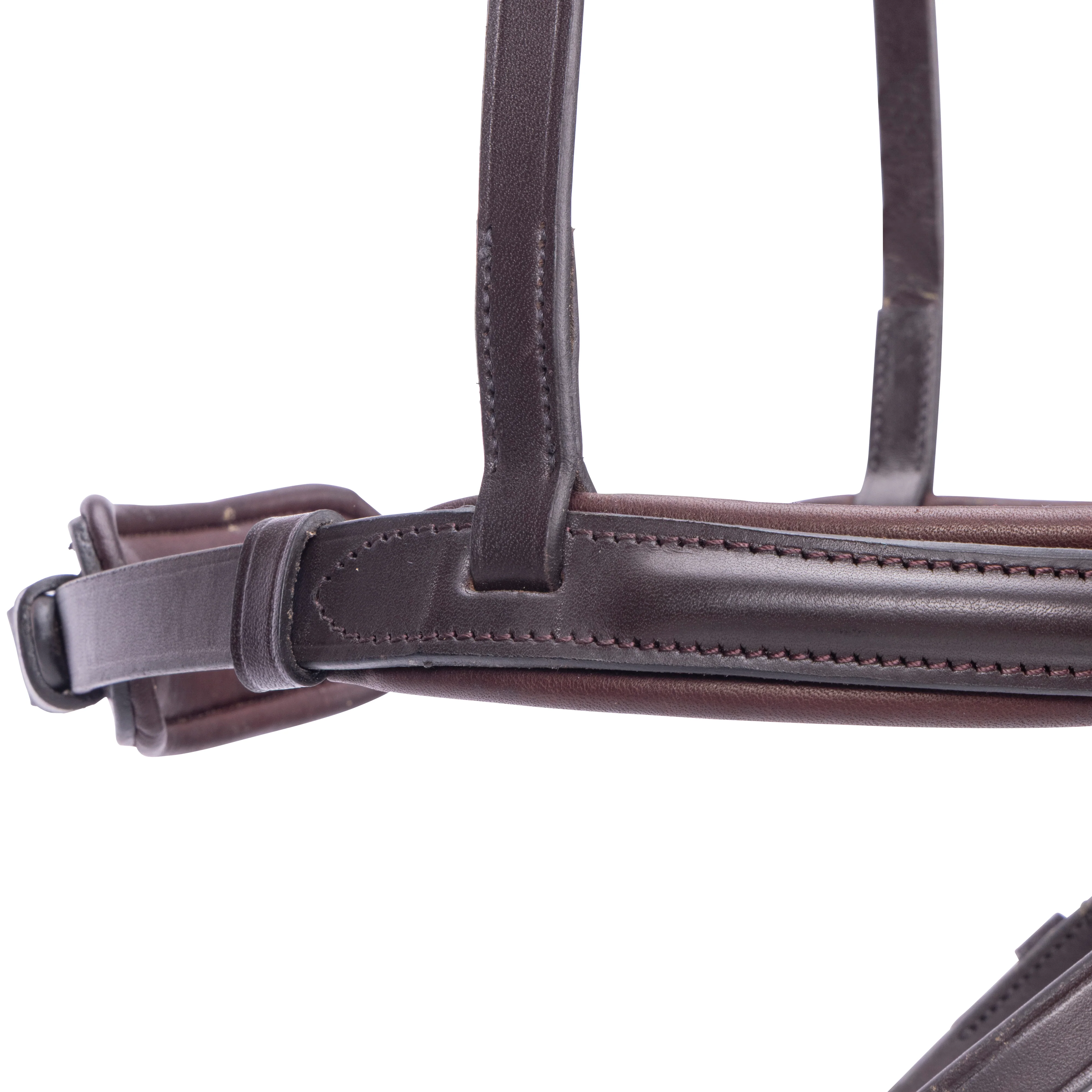 Shires Velociti LUSSO Elite Flash Noseband - Image 8