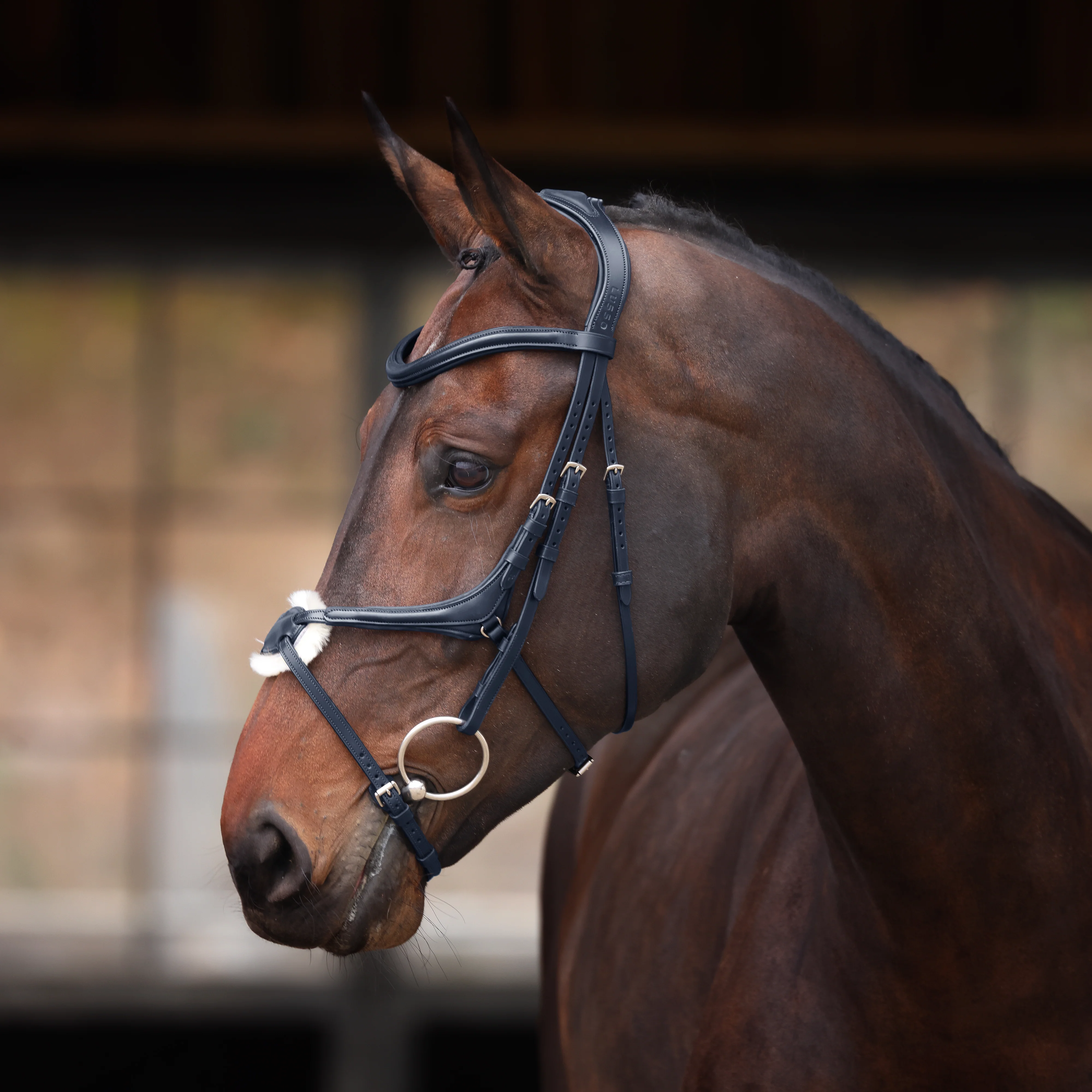 Shires Velociti Lusso Elite Grackle Bridle