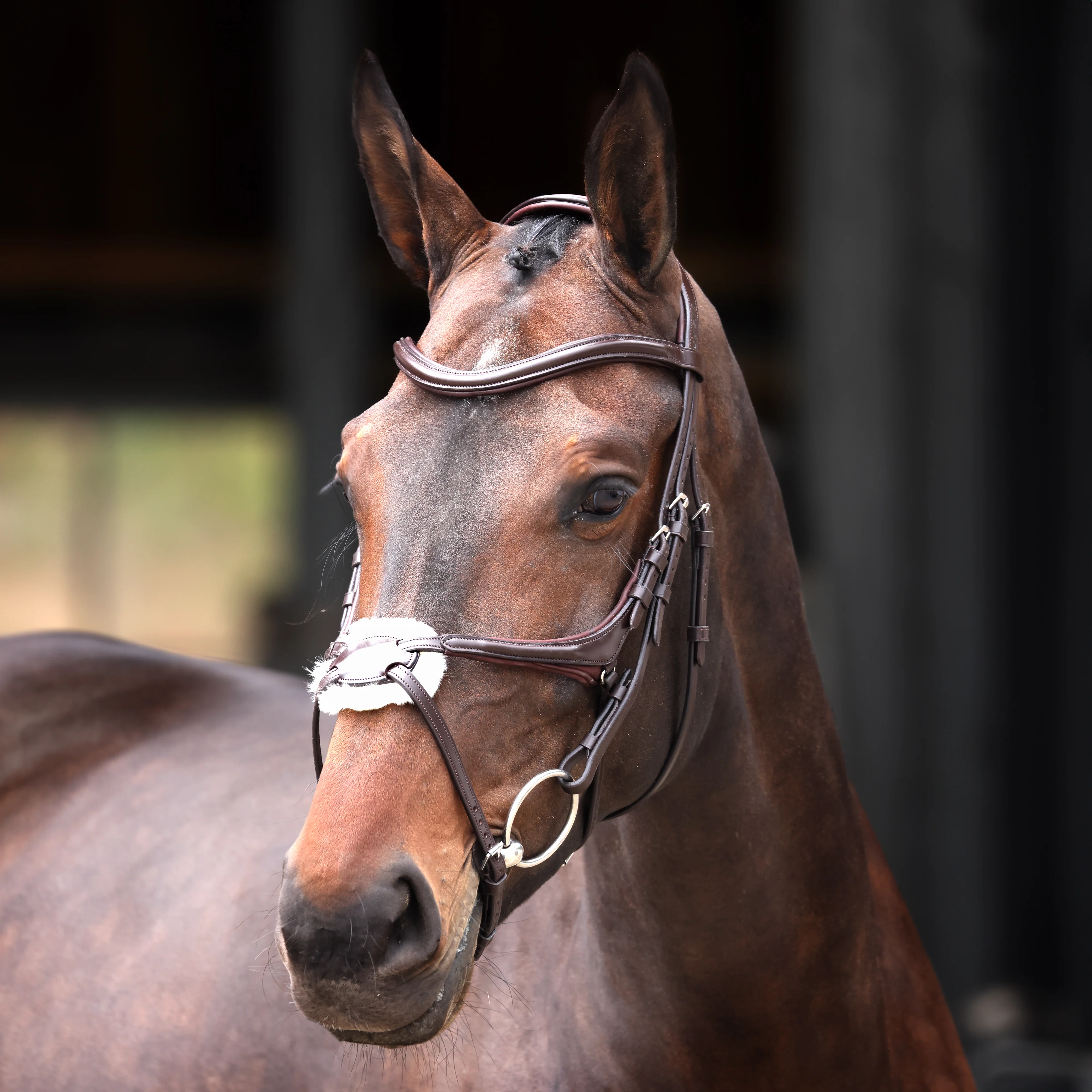 Shires Velociti Lusso Elite Grackle Bridle - Image 2