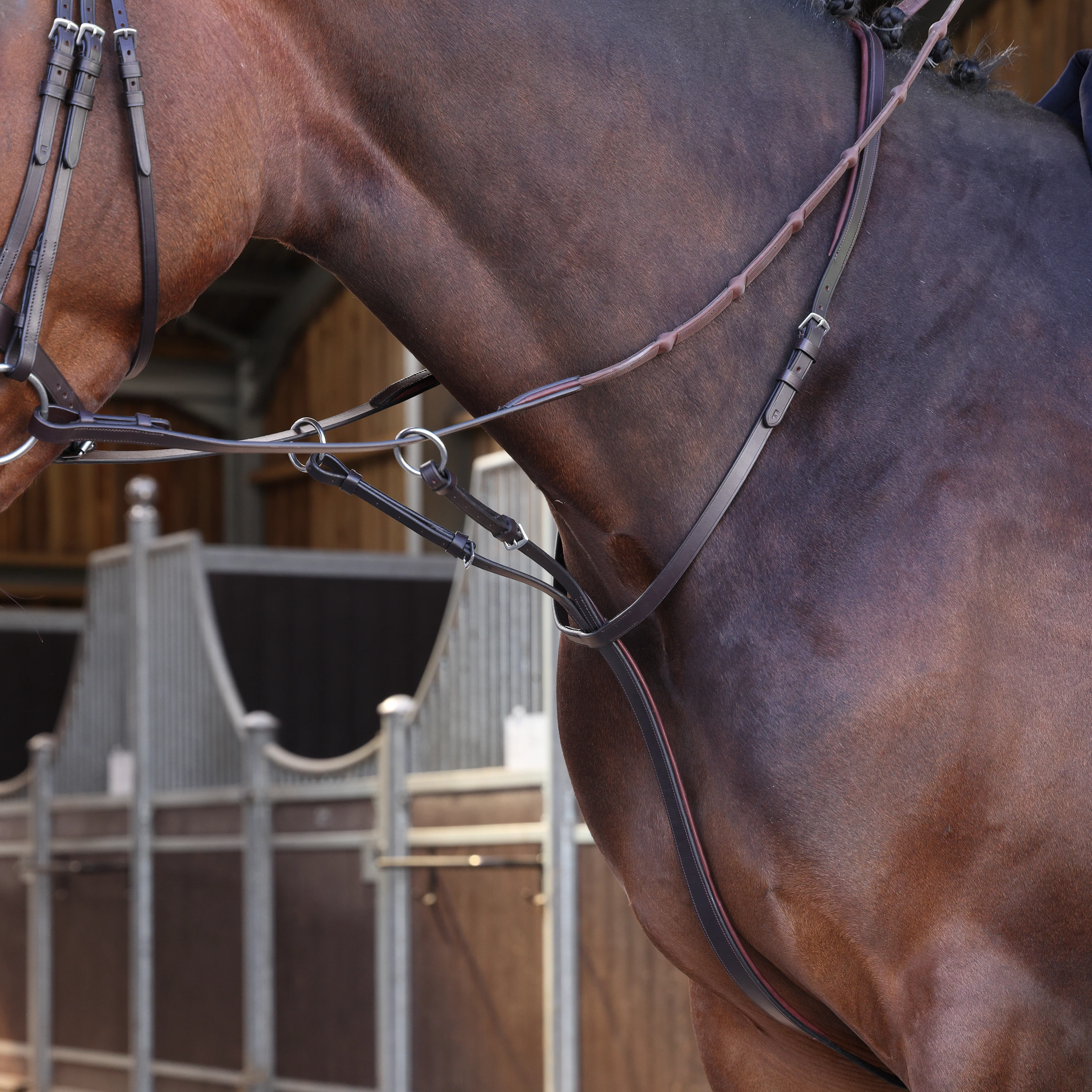 Shires Velociti LUSSO Elite Running Martingale - Image 2