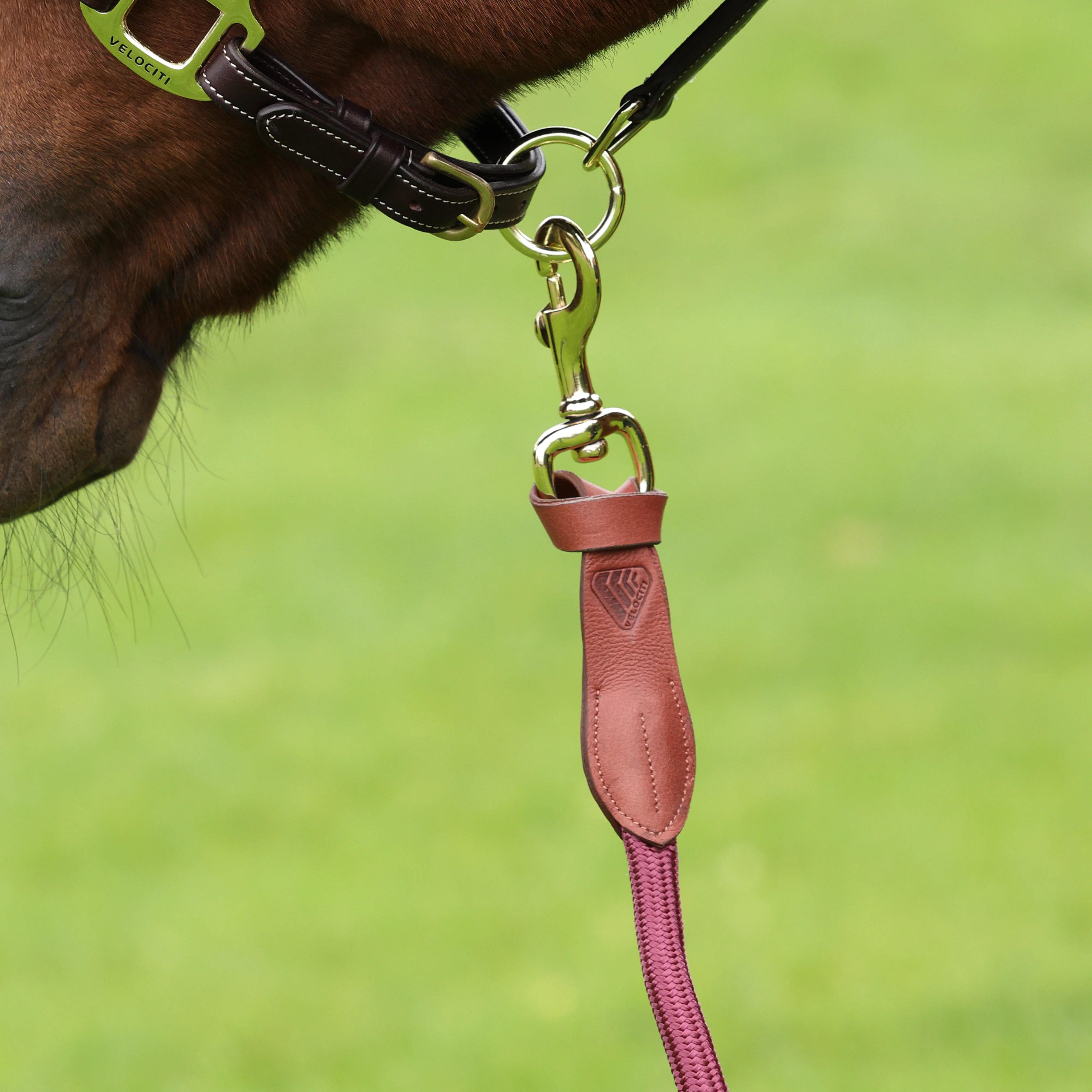 Shires Velociti Lusso Leather Lead Rope - Image 7