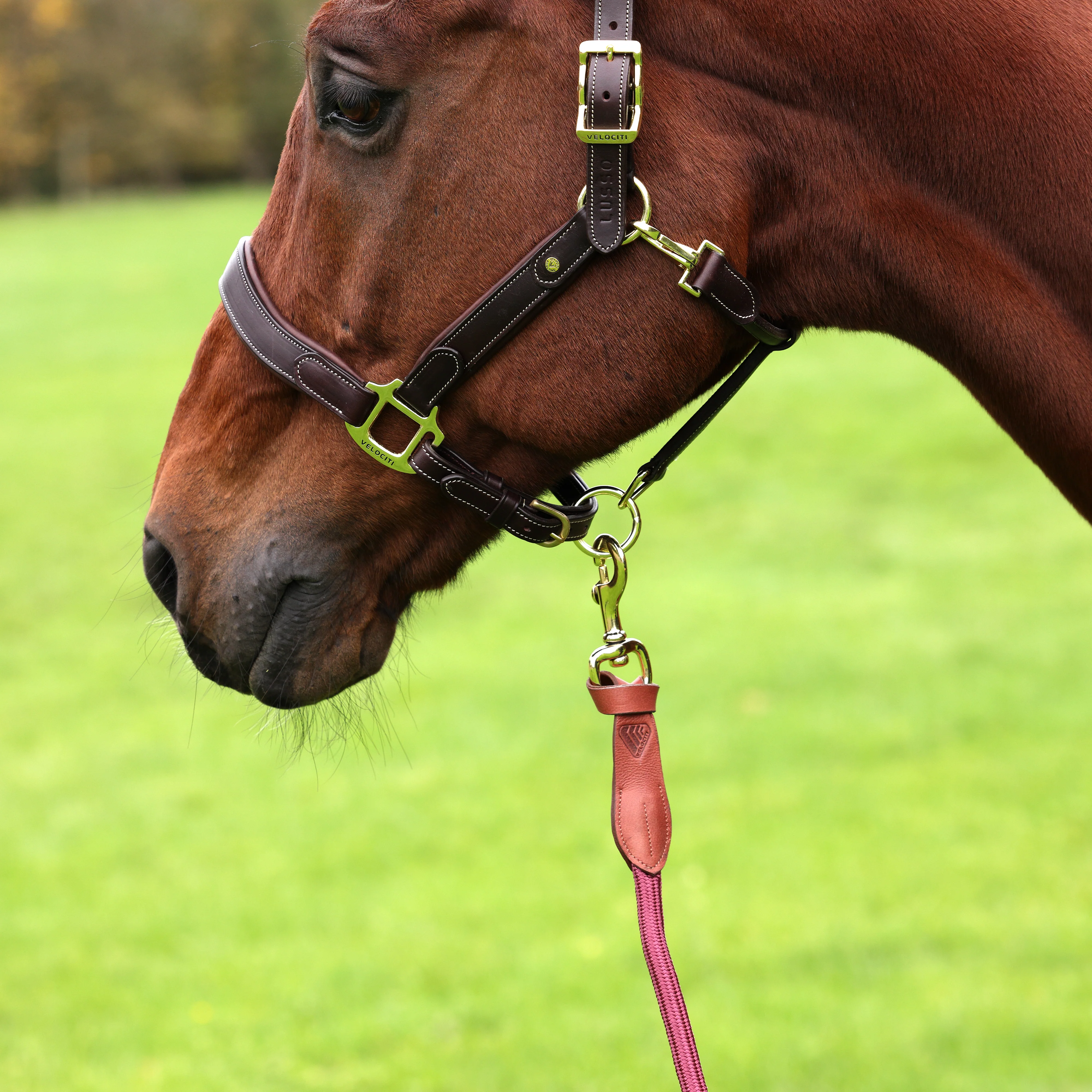 Shires Velociti Lusso Leather Lead Rope - Image 8