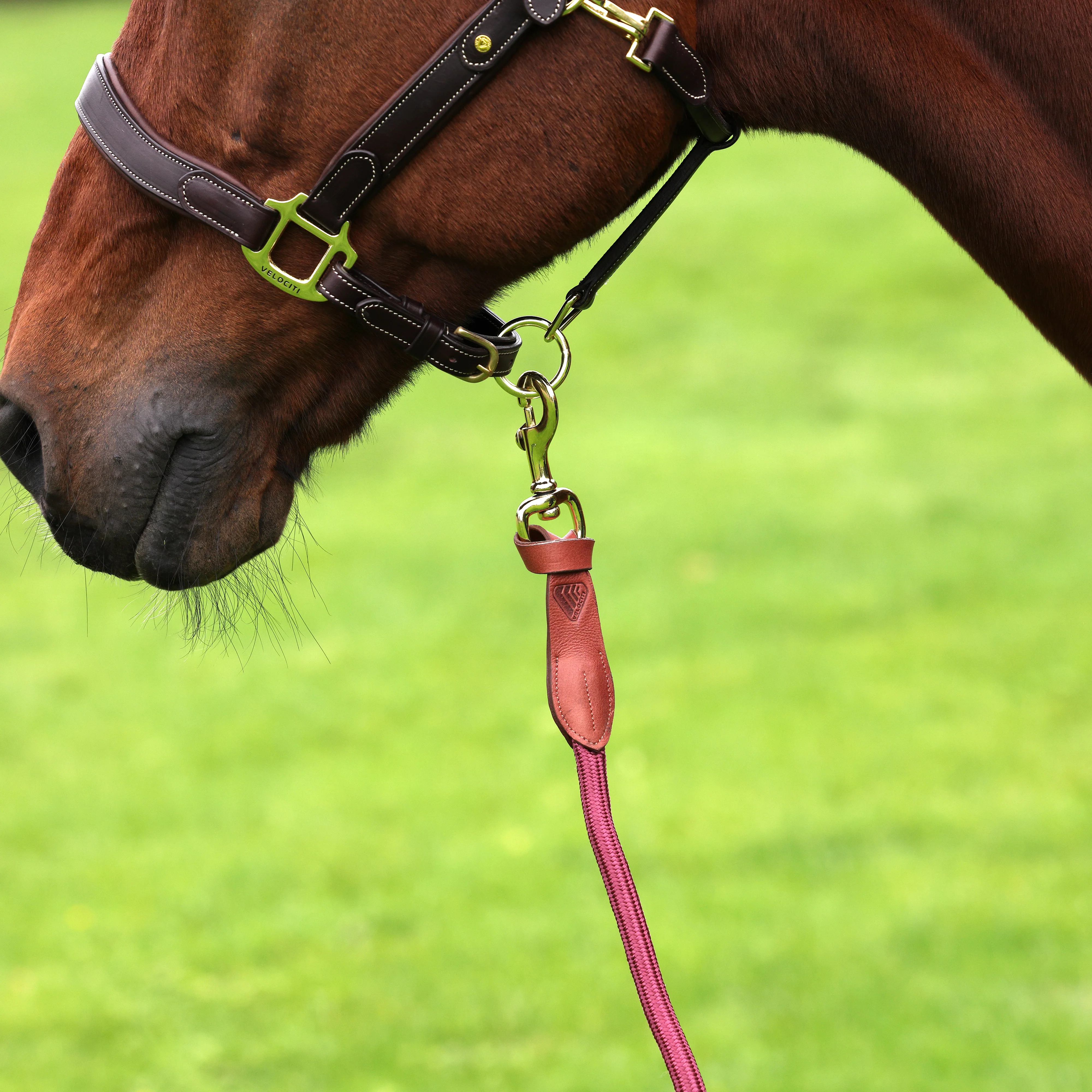 Shires Velociti Lusso Leather Lead Rope - Image 9