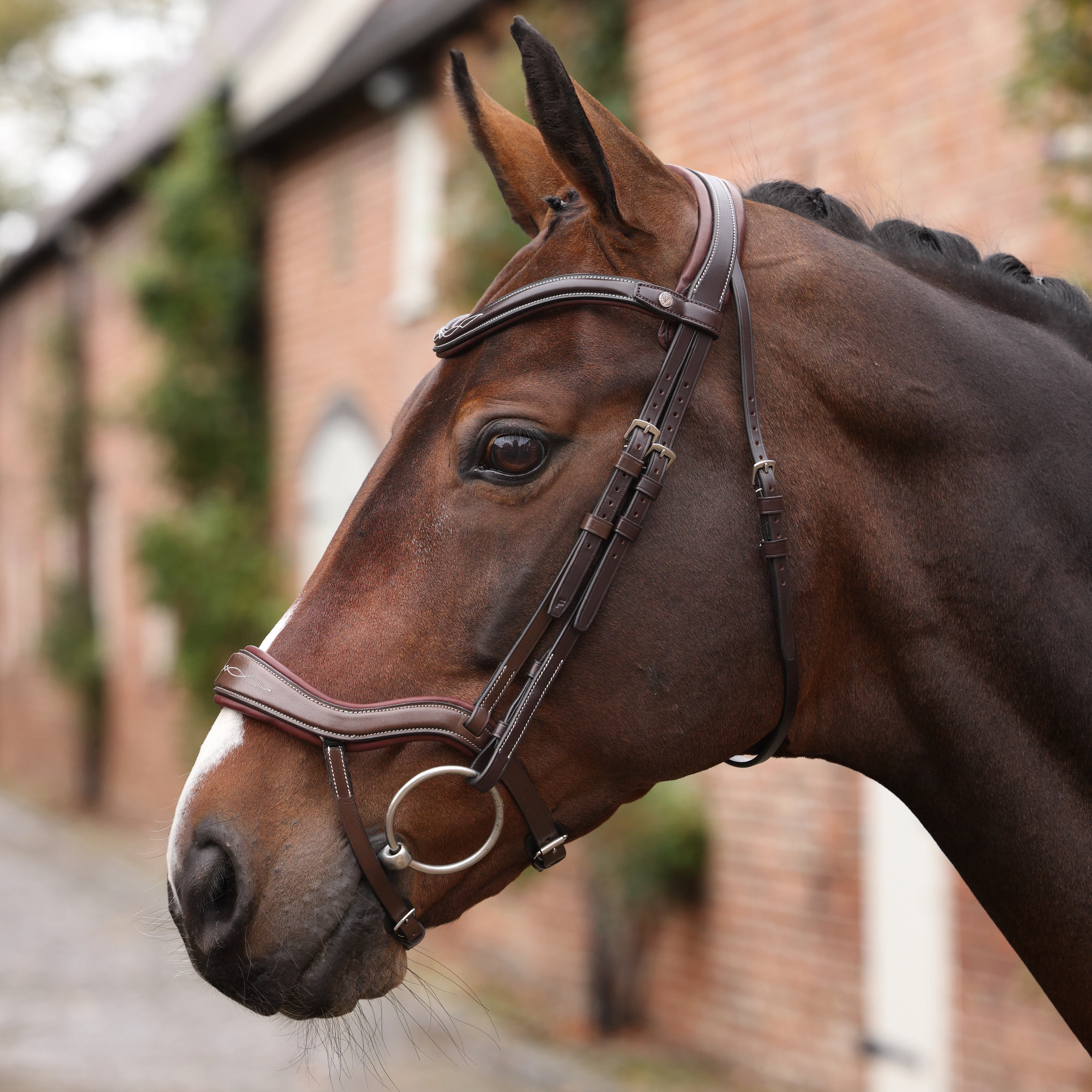 Shires Velociti LUSSO Opus 180M Ergonomic Flash Bridle - Image 10