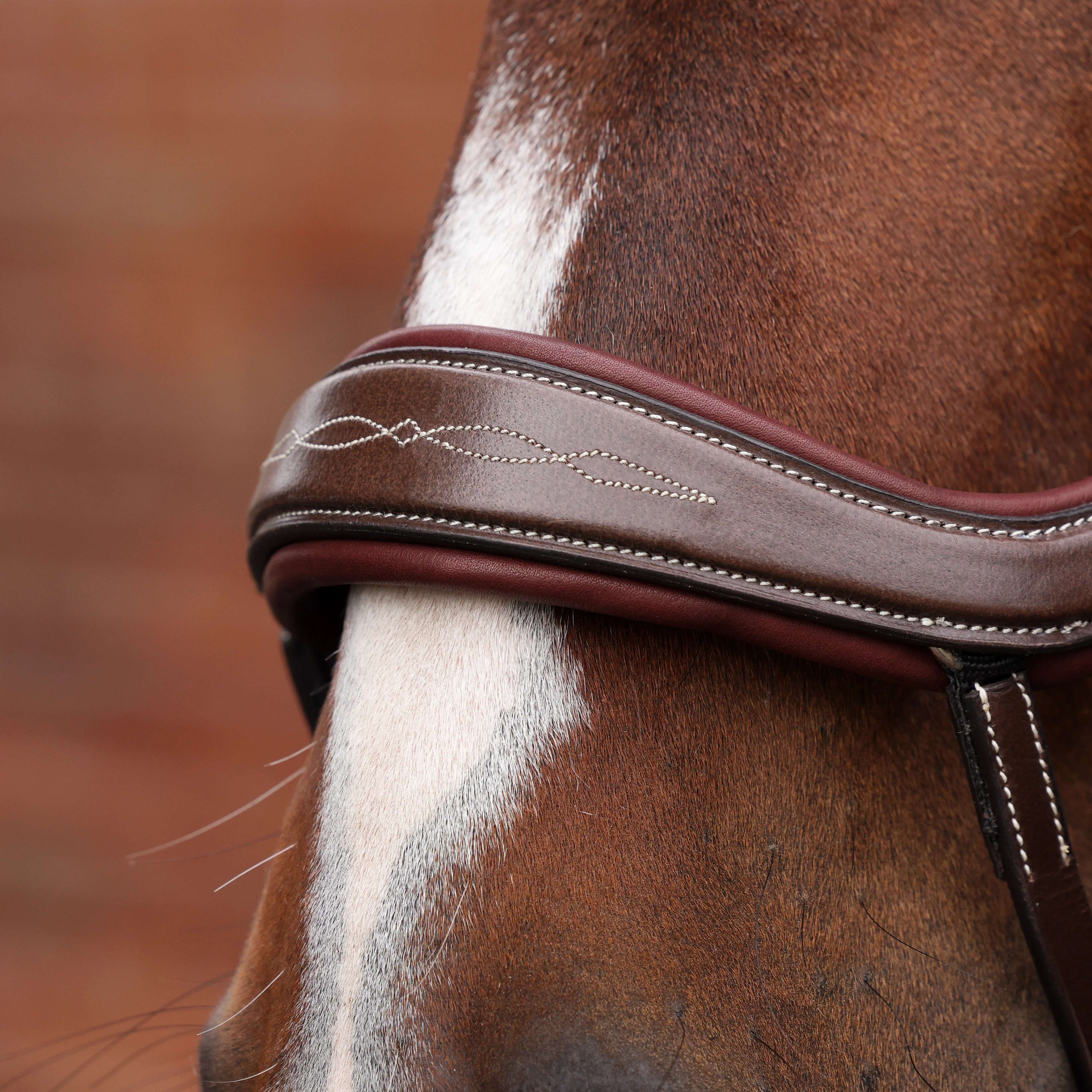 Shires Velociti LUSSO Opus 180M Ergonomic Flash Bridle - Image 11