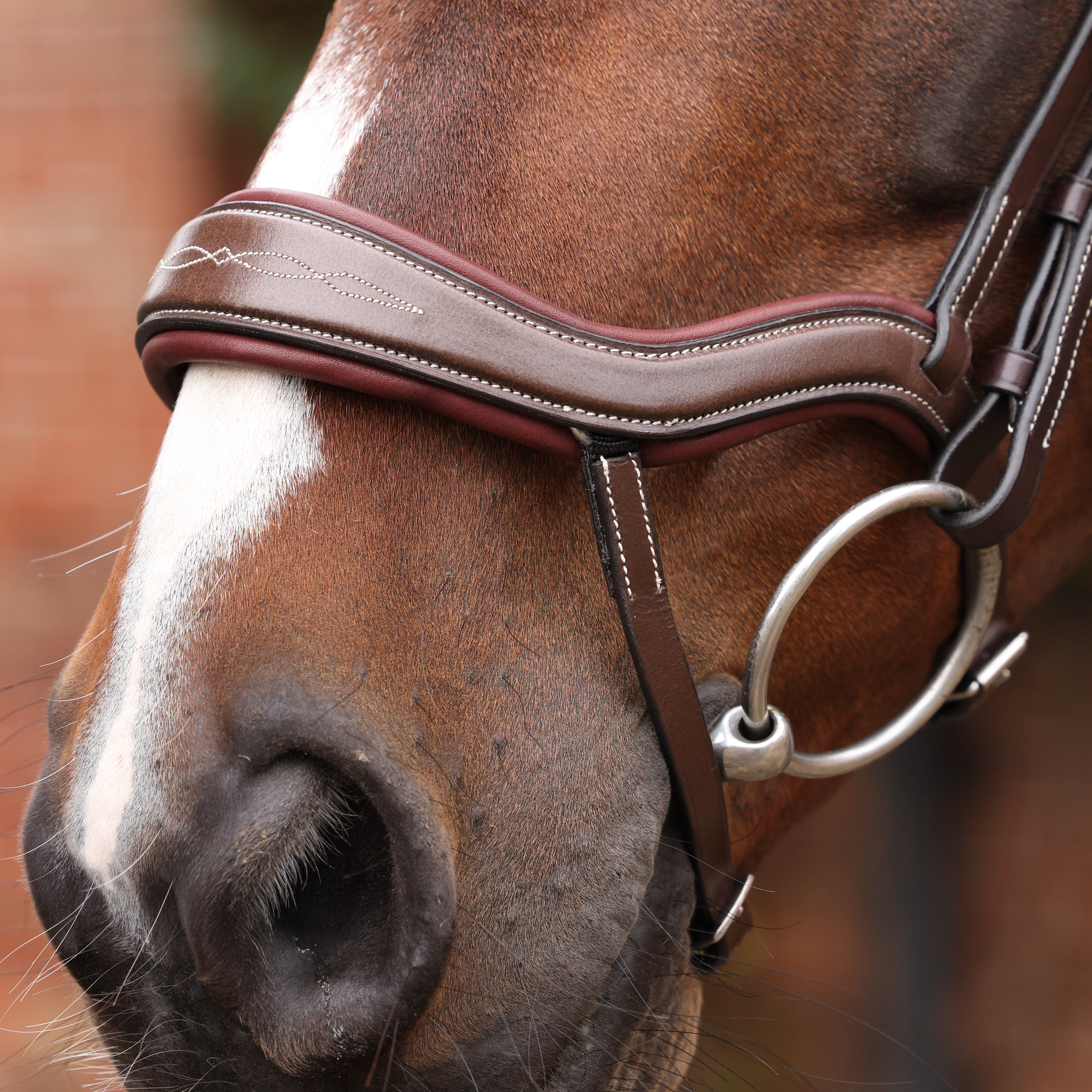 Shires Velociti LUSSO Opus 180M Ergonomic Flash Bridle - Image 12