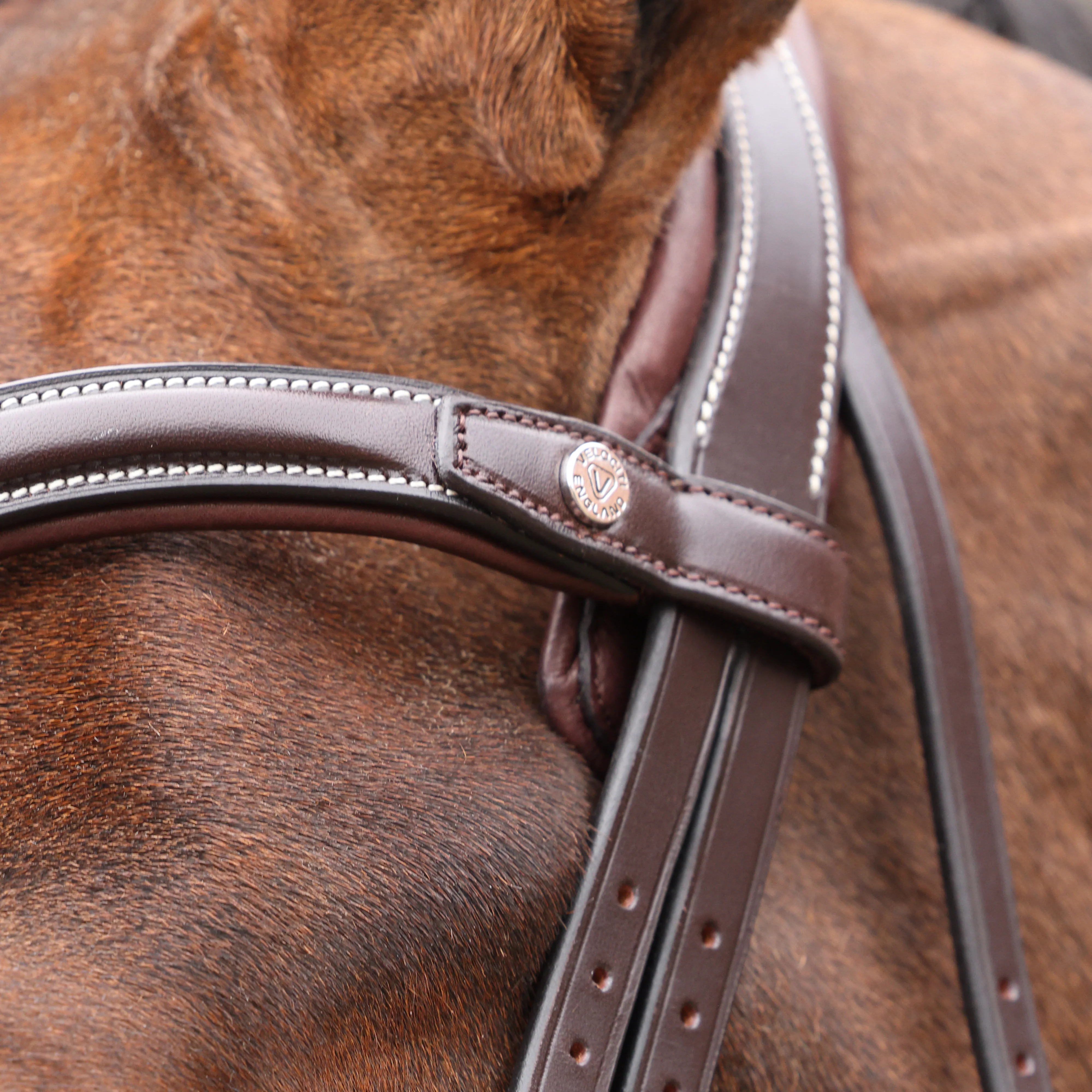 Shires Velociti LUSSO Opus 180M Ergonomic Flash Bridle - Image 16