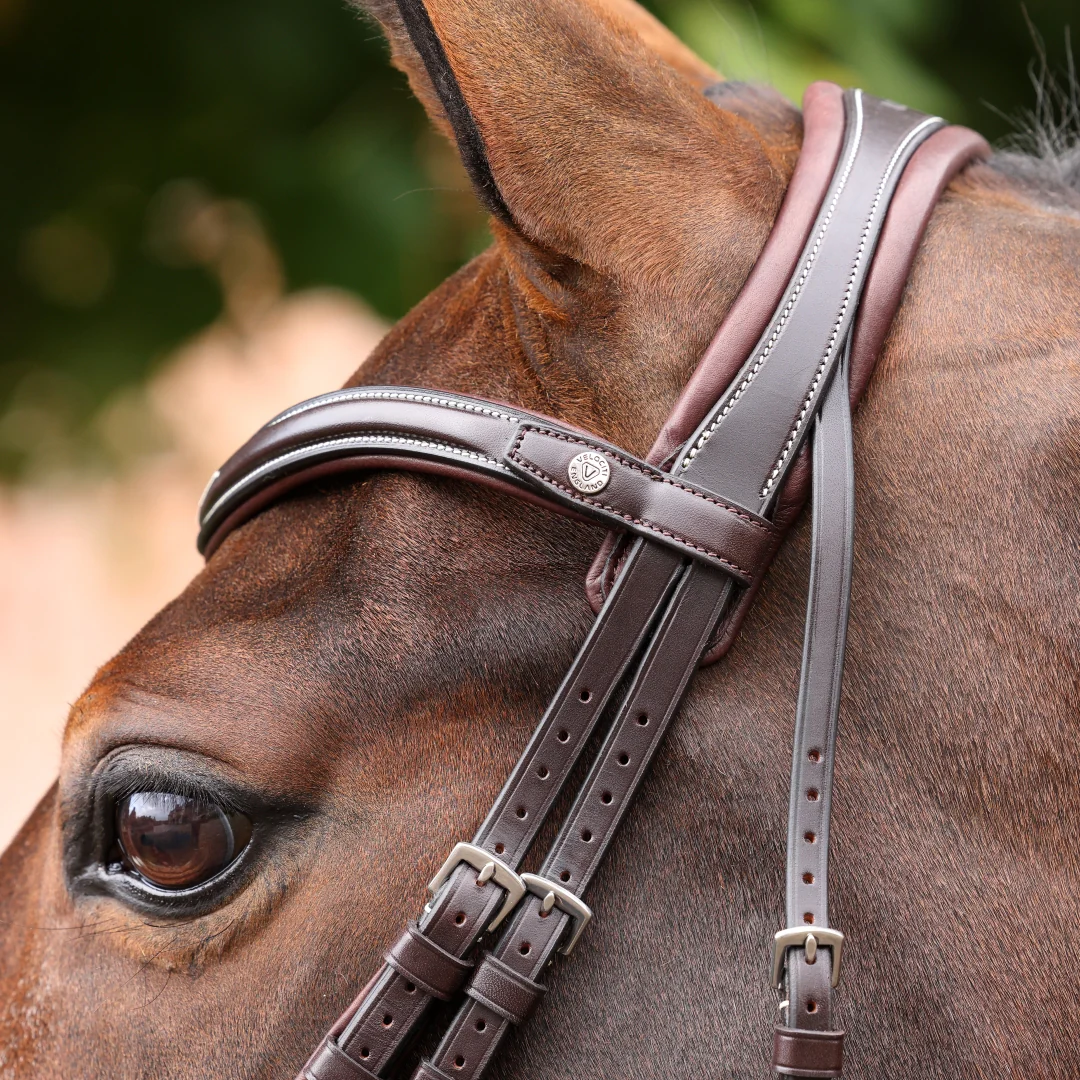 Shires Velociti LUSSO Opus 180M Ergonomic Flash Bridle - Image 17