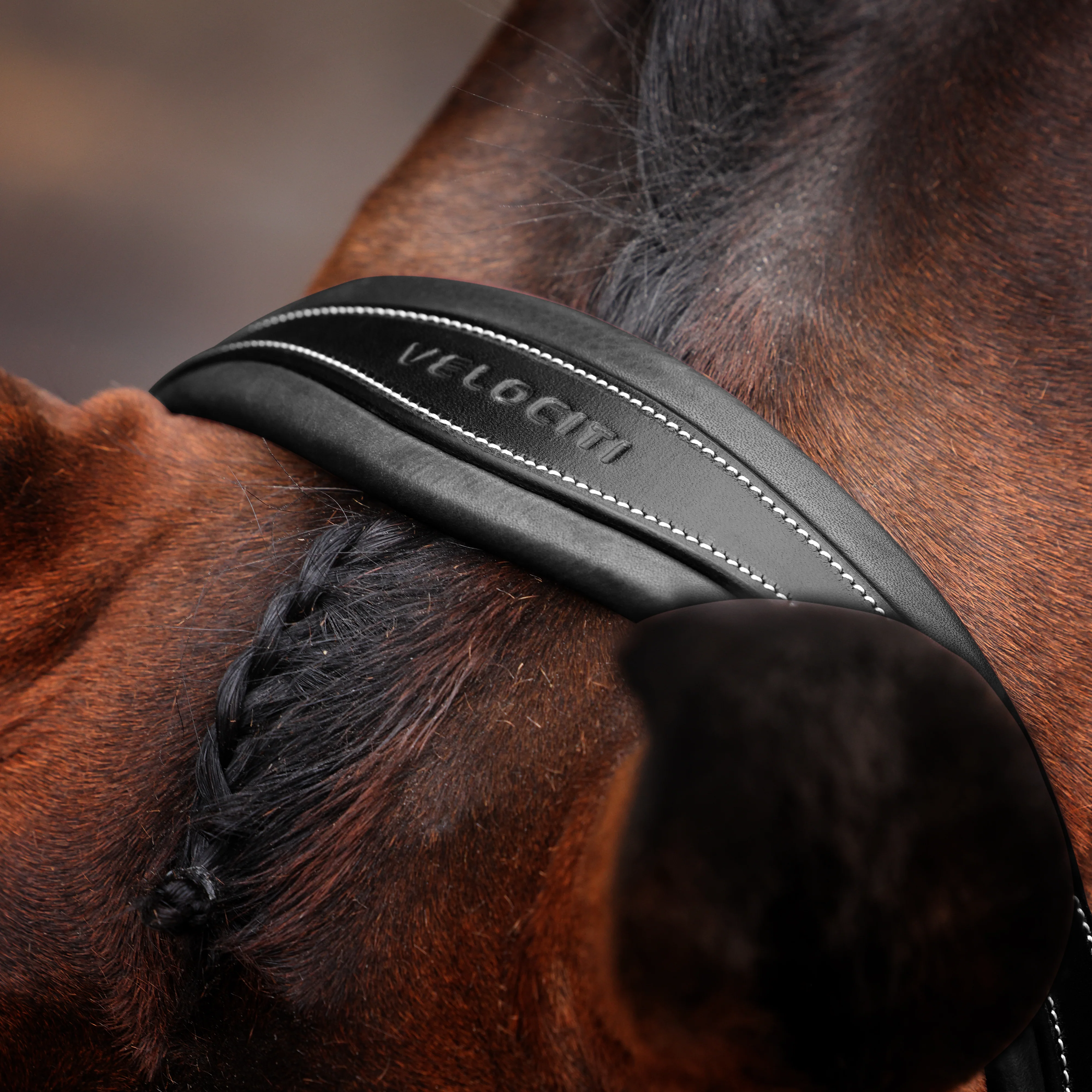 Shires Velociti LUSSO Opus 180M Padded Flash Bridle - Image 4
