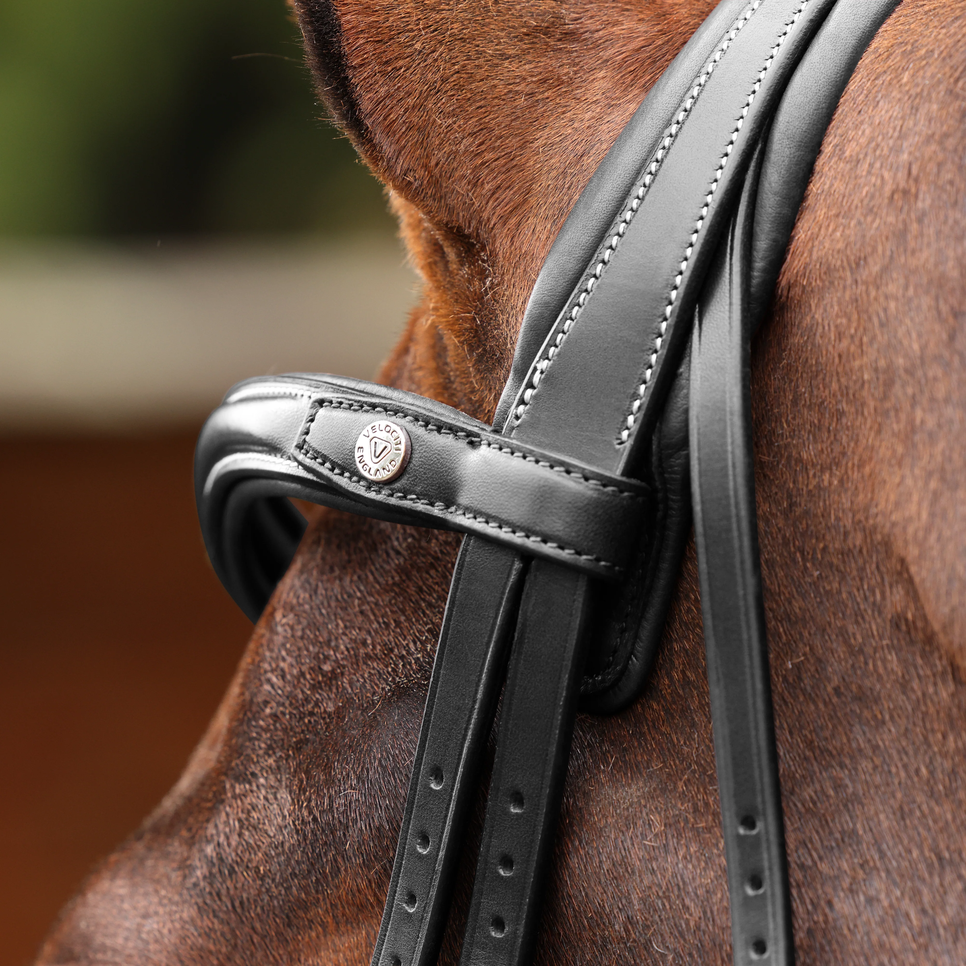 Shires Velociti LUSSO Opus 180M Padded Flash Bridle - Image 5
