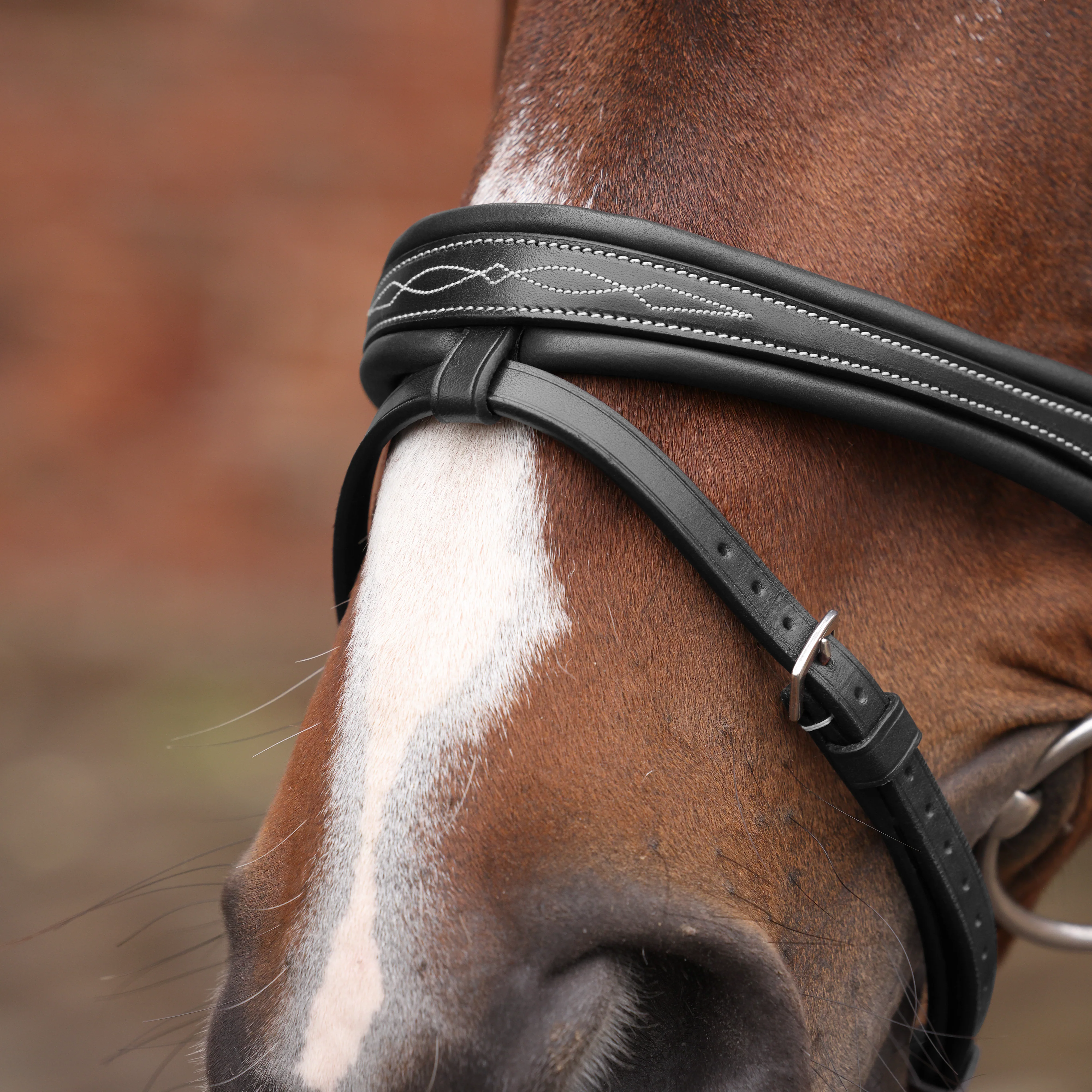 Shires Velociti LUSSO Opus 180M Padded Flash Bridle - Image 6