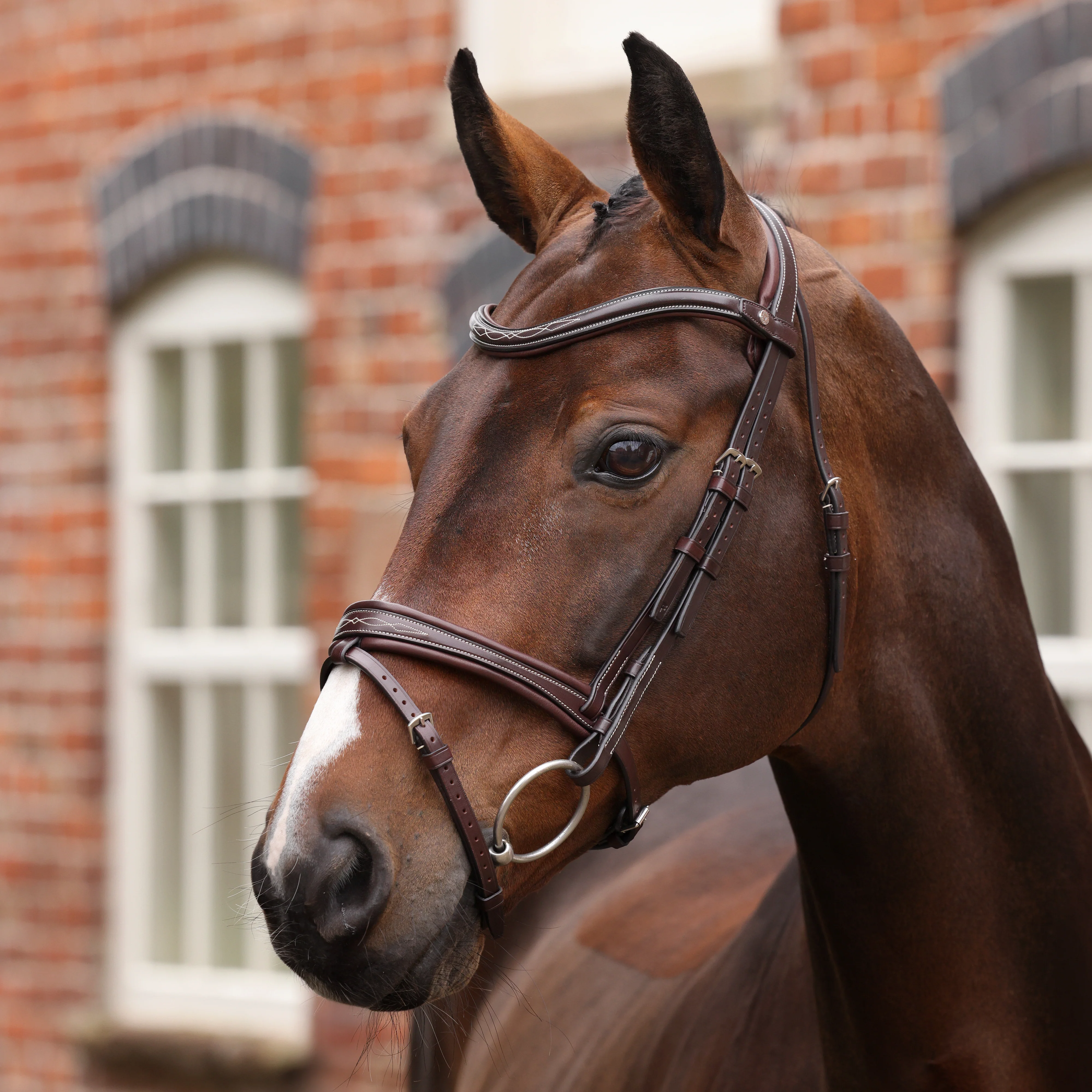 Shires Velociti LUSSO Opus 180M Padded Flash Bridle - Image 7