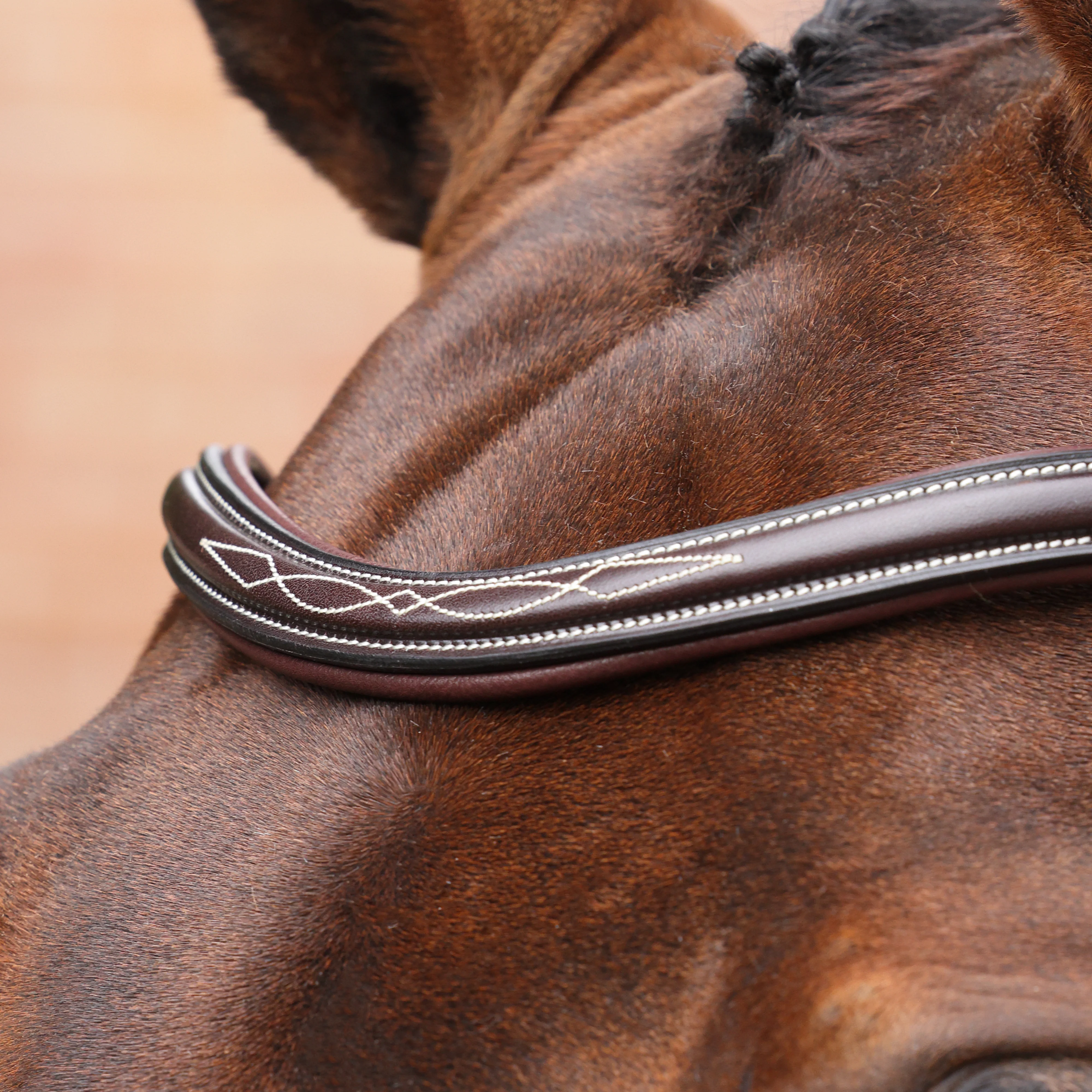 Shires Velociti LUSSO Opus 180M Padded Flash Bridle - Image 8