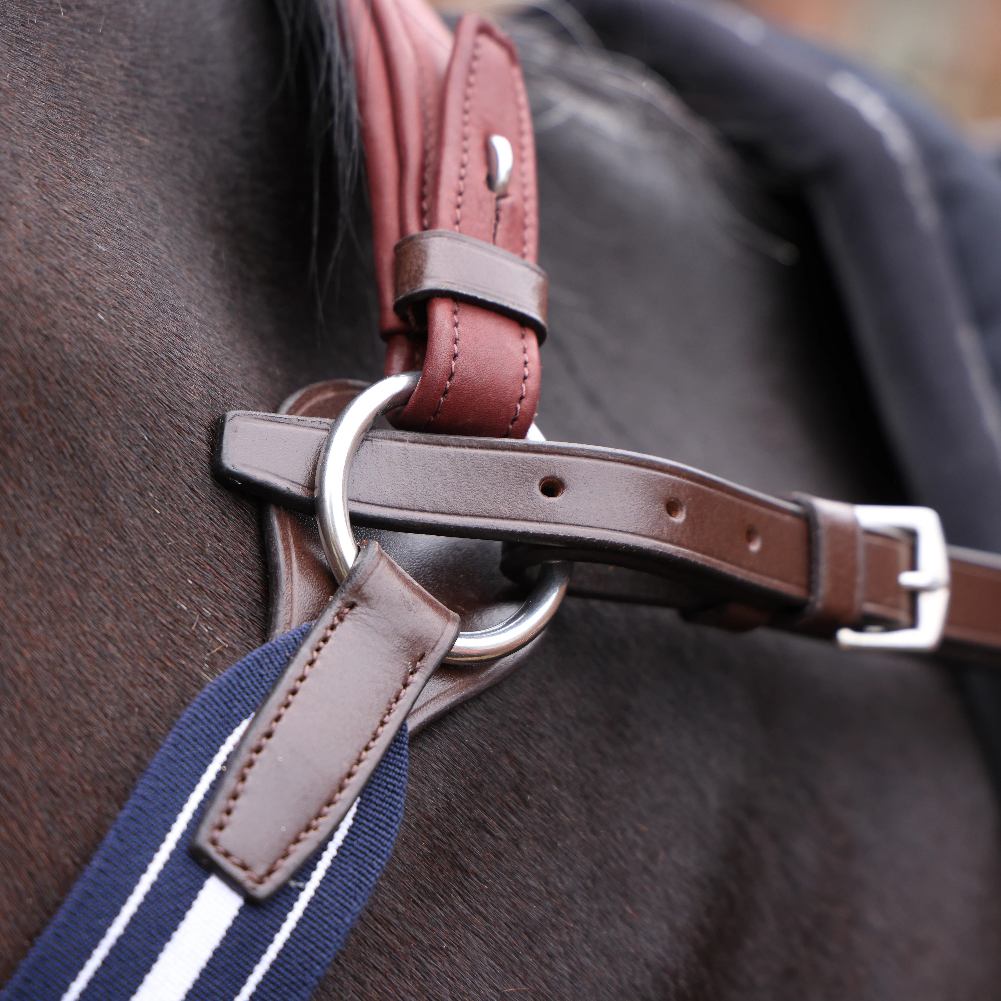 Shires Velociti LUSSO Opus Elastic Breastplate - Image 10