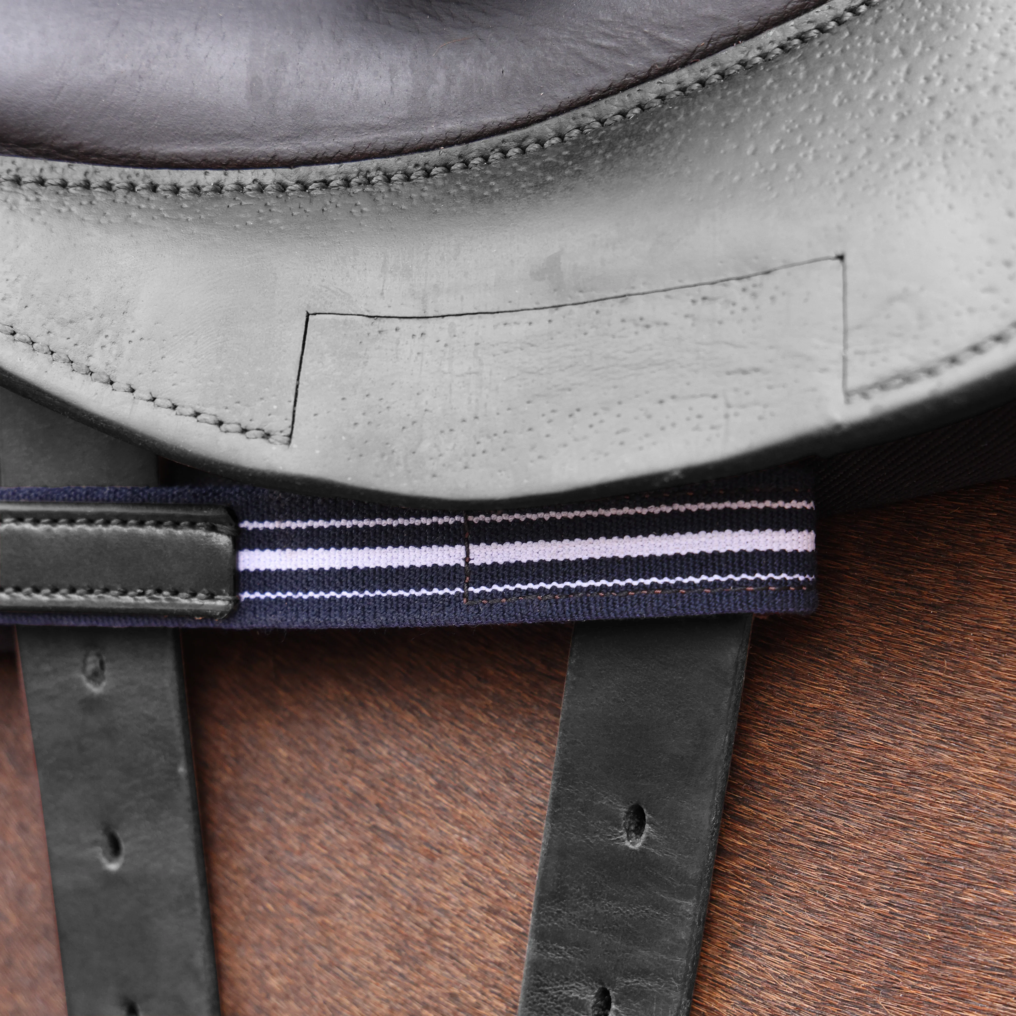 Shires Velociti LUSSO Opus Elastic Breastplate - Image 6