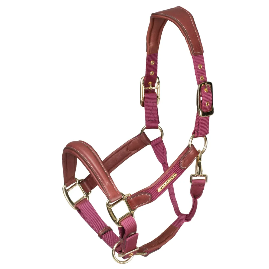 Shires Velociti Lusso Padded Leather Headcollar - Image 3