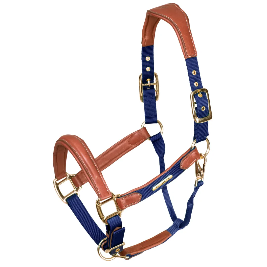 Shires Velociti Lusso Padded Leather Headcollar - Image 7