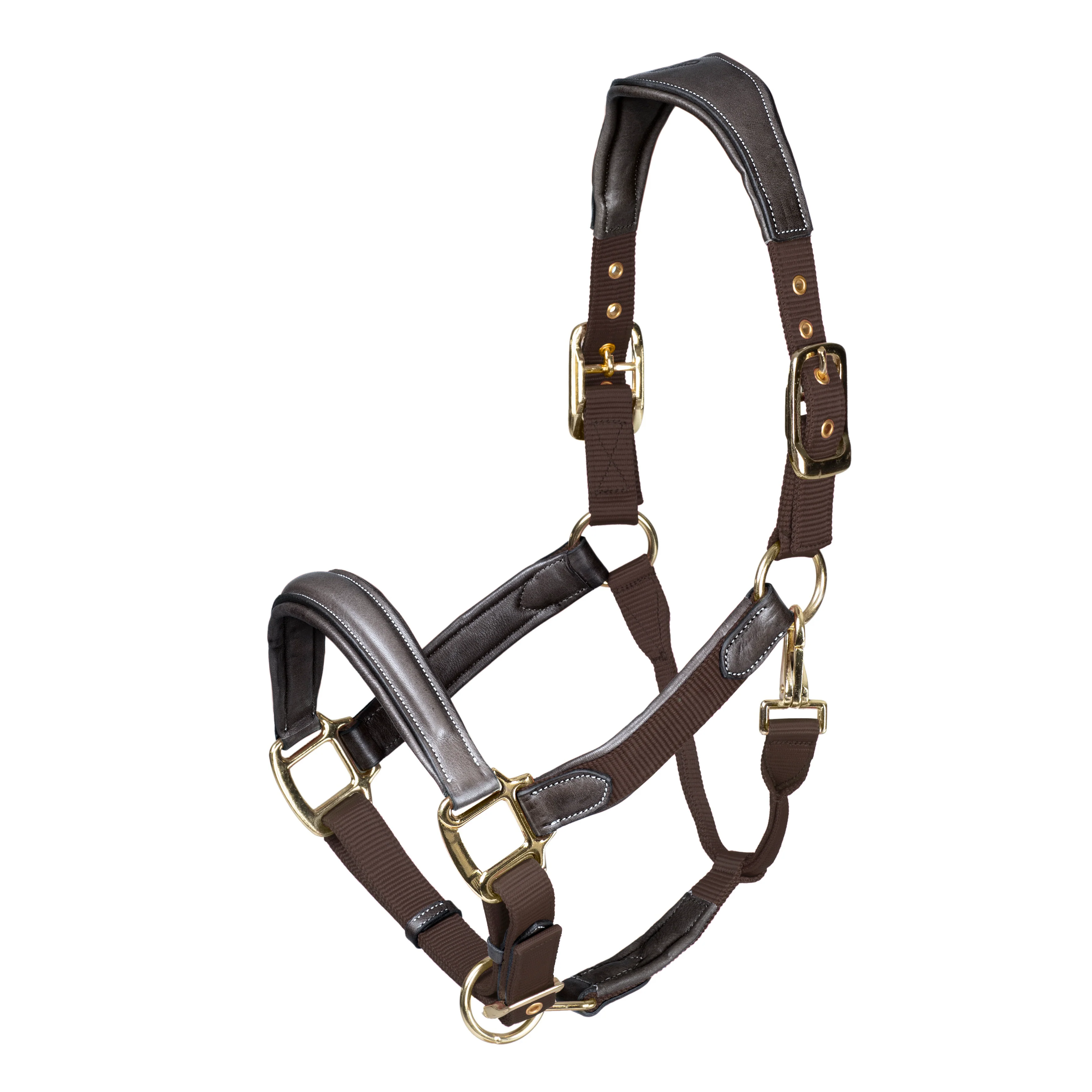 Shires Velociti Lusso Padded Leather Headcollar - Image 9