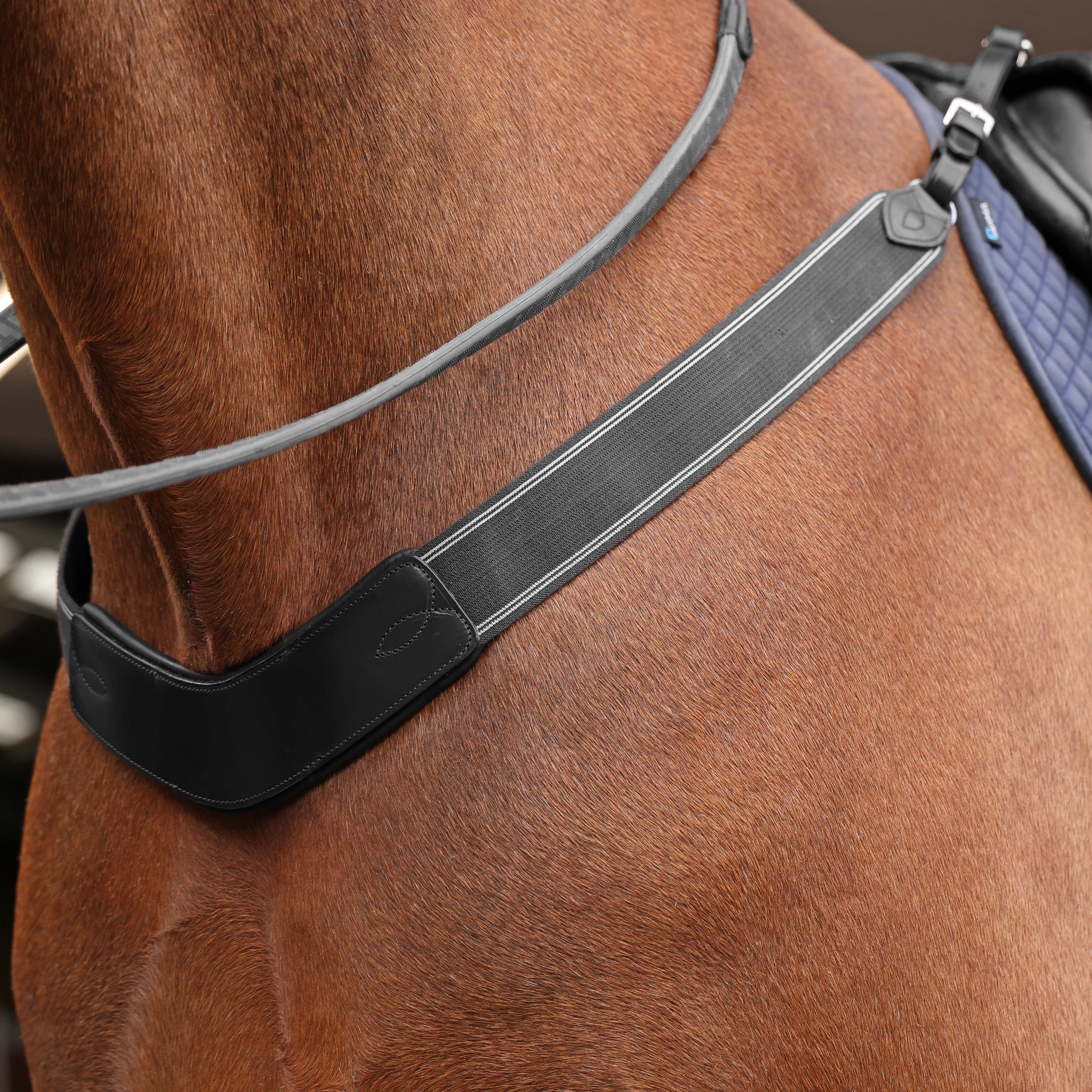 Shires Velociti Rapida Elastic Breastgirth