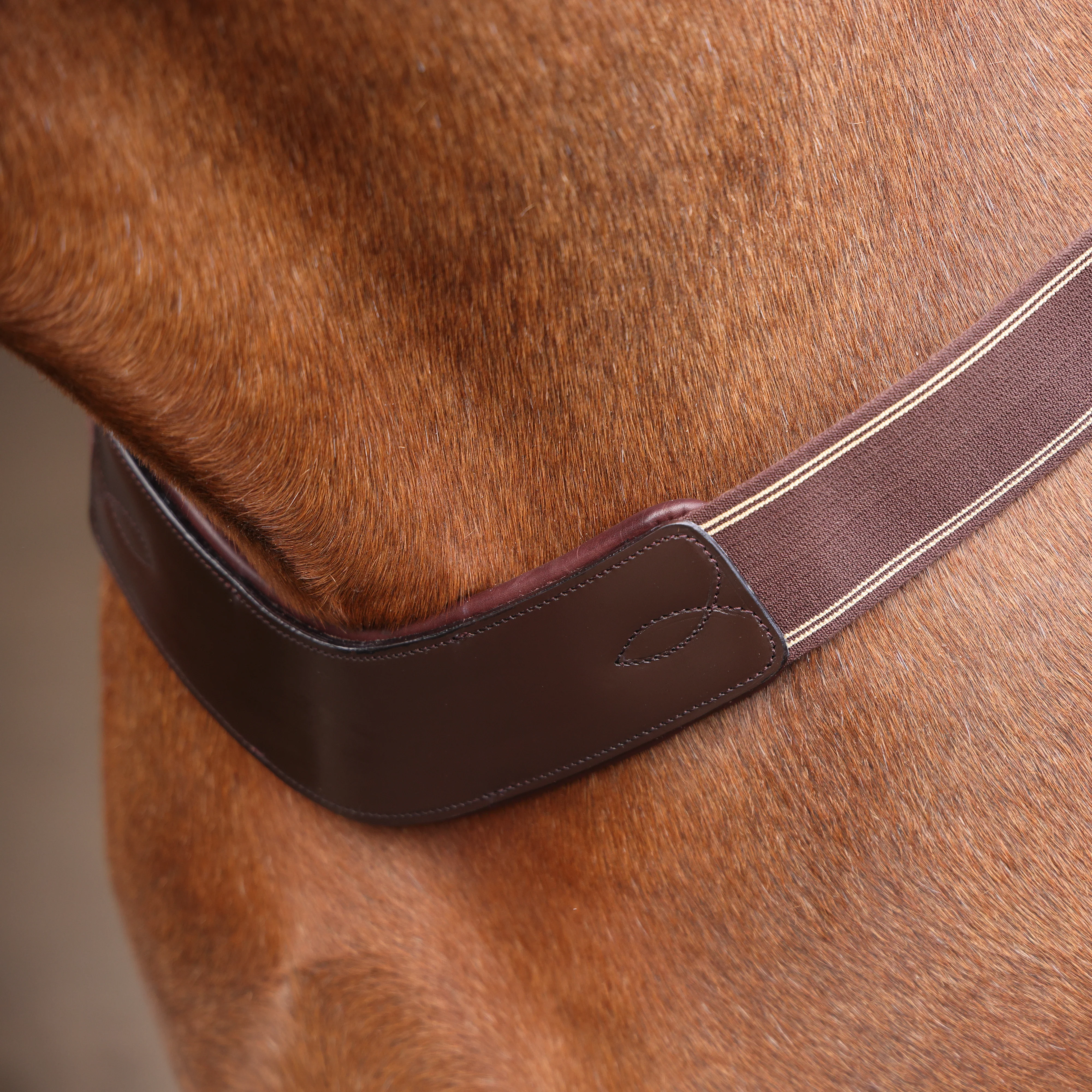 Shires Velociti Rapida Elastic Breastgirth - Image 10