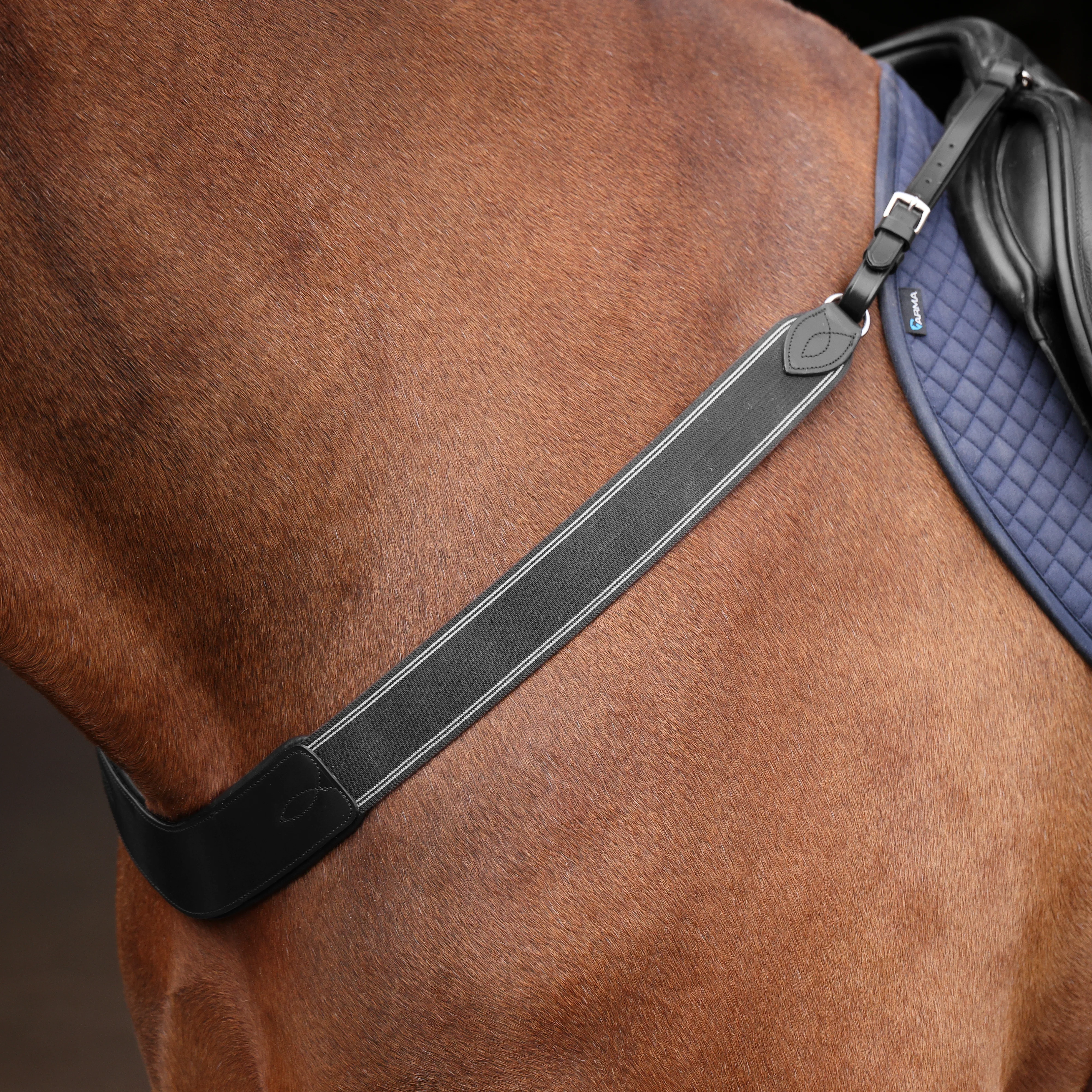 Shires Velociti Rapida Elastic Breastgirth - Image 2