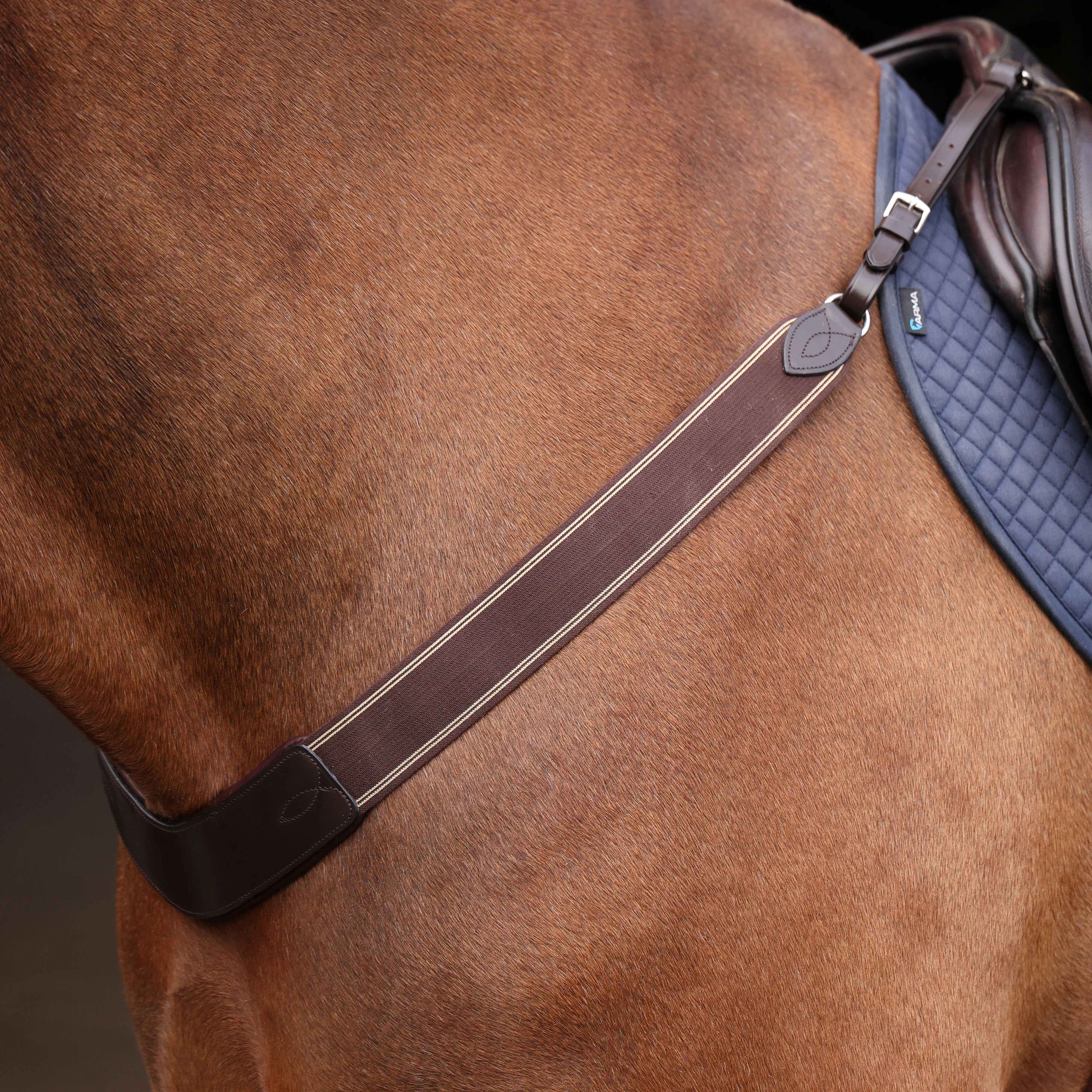 Shires Velociti Rapida Elastic Breastgirth - Image 6