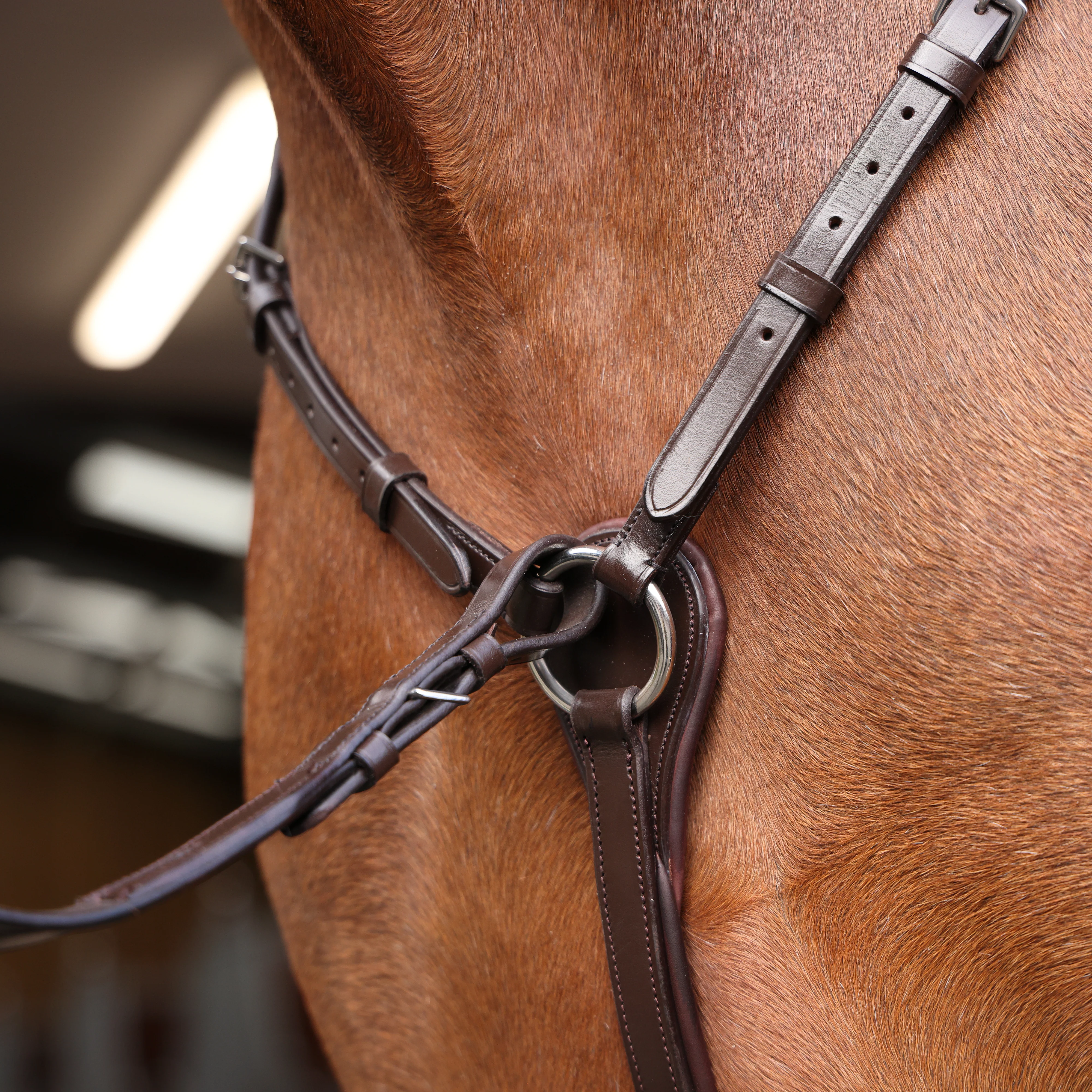 Shires Velociti Rapida Elastic Breastplate - Image 17