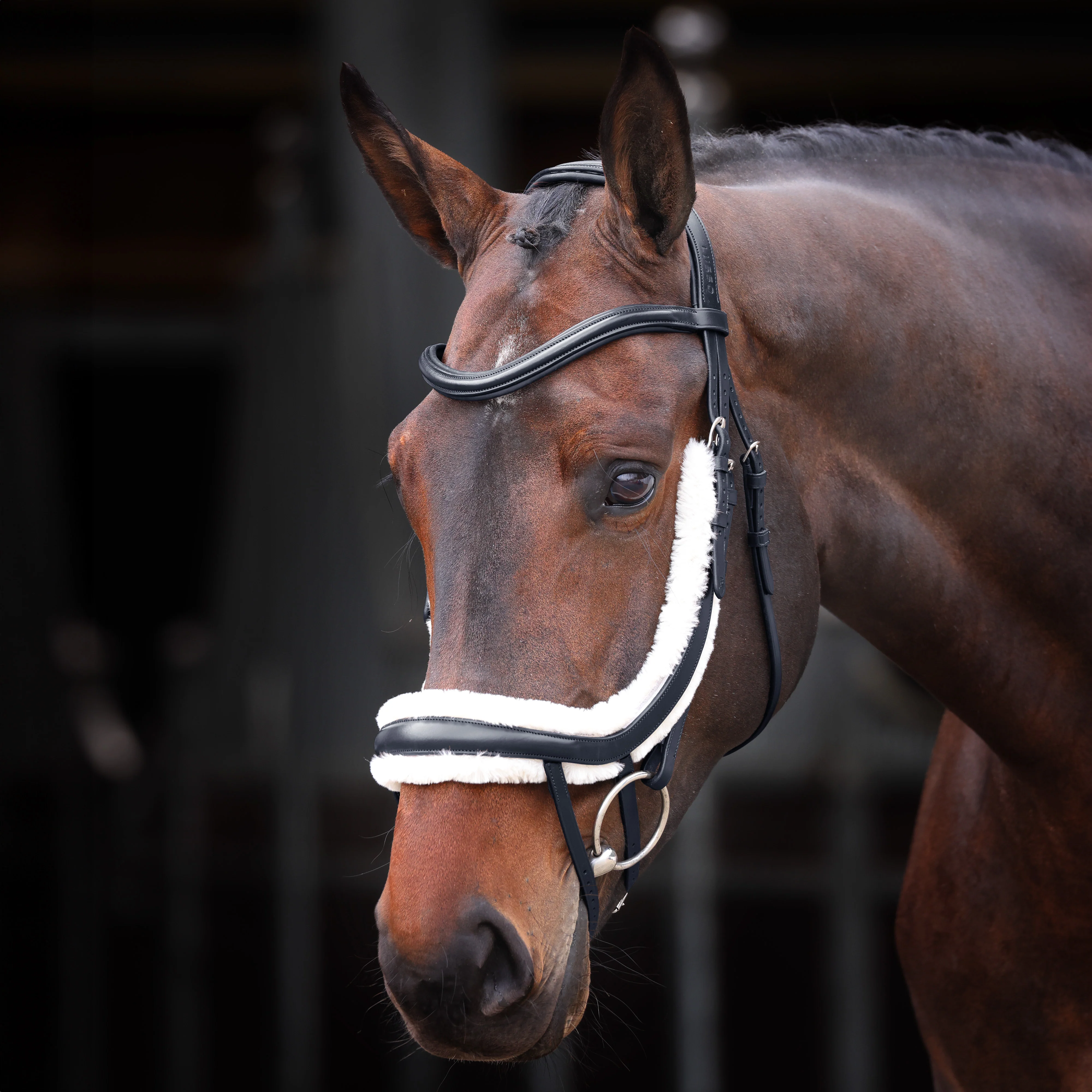 Shires Velociti Rapida Fleece Curved Flash Noseband - Image 2