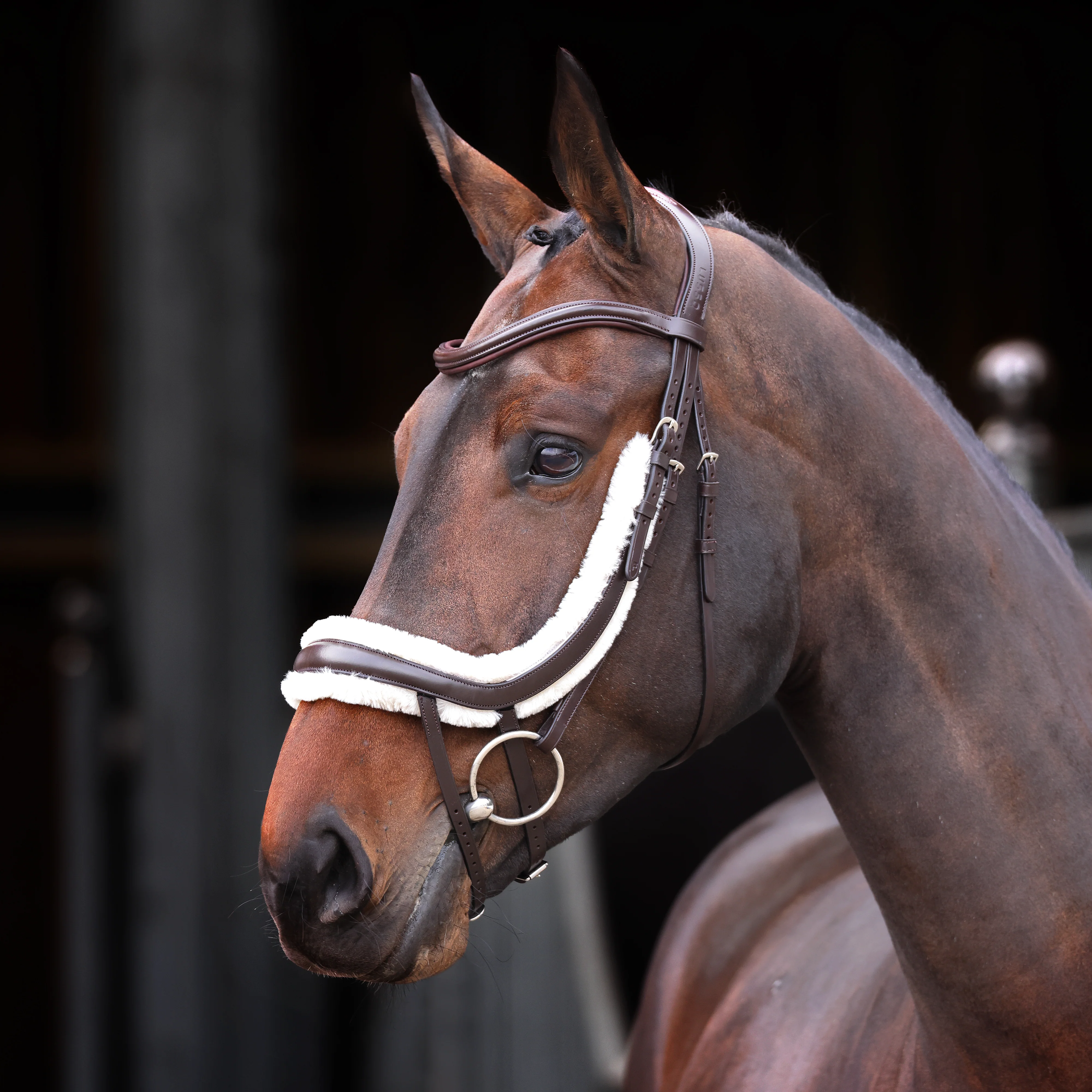 Shires Velociti Rapida Fleece Curved Flash Noseband - Image 4