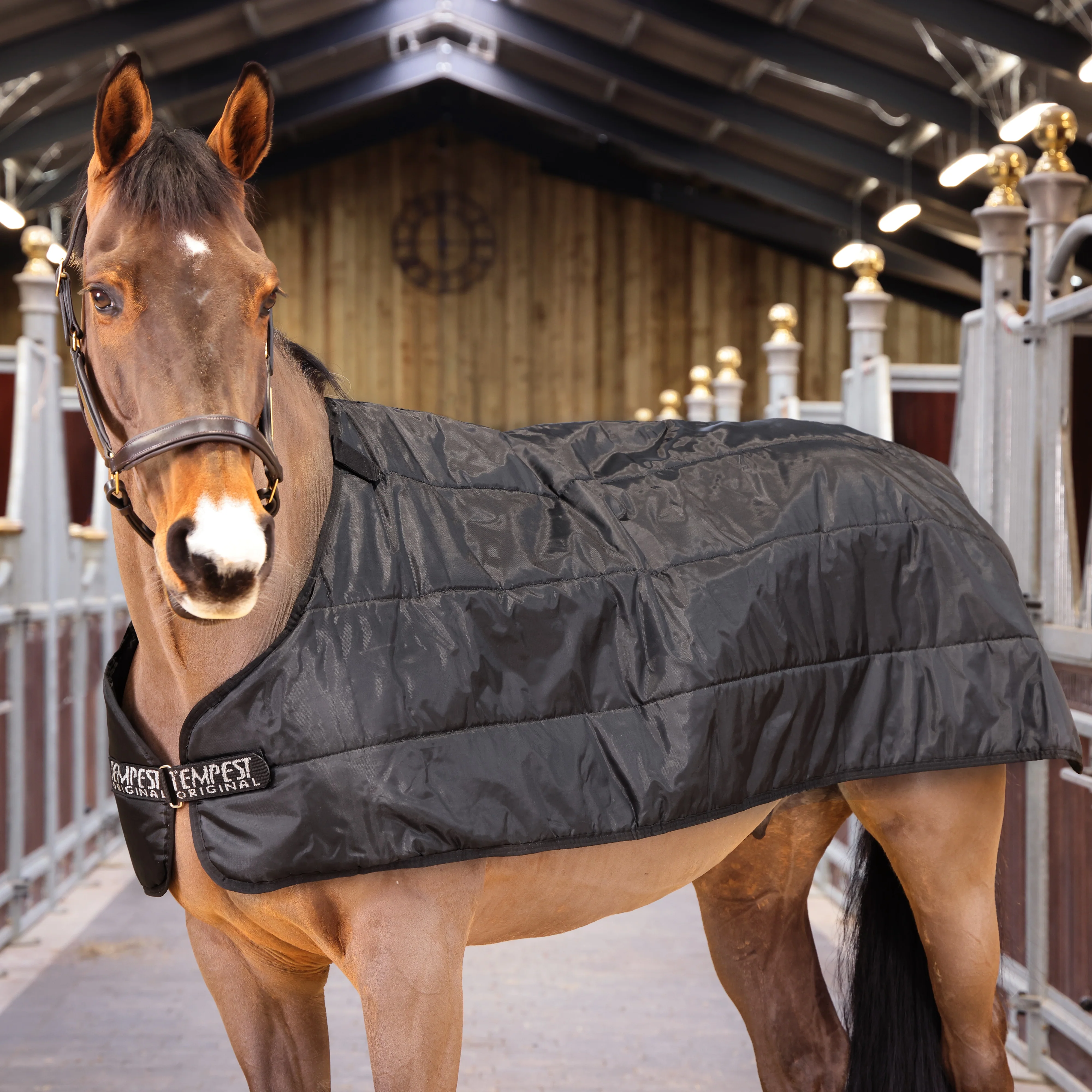 Shires WarmaRug 200g Turnout Liner