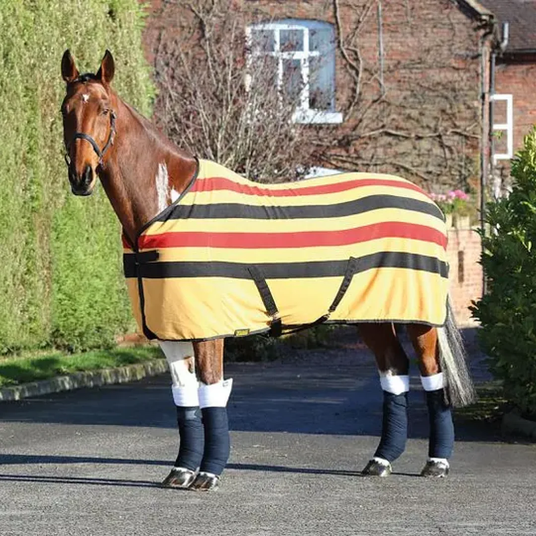 Shires Wessex Newmarket Fleece Rug - Image 2