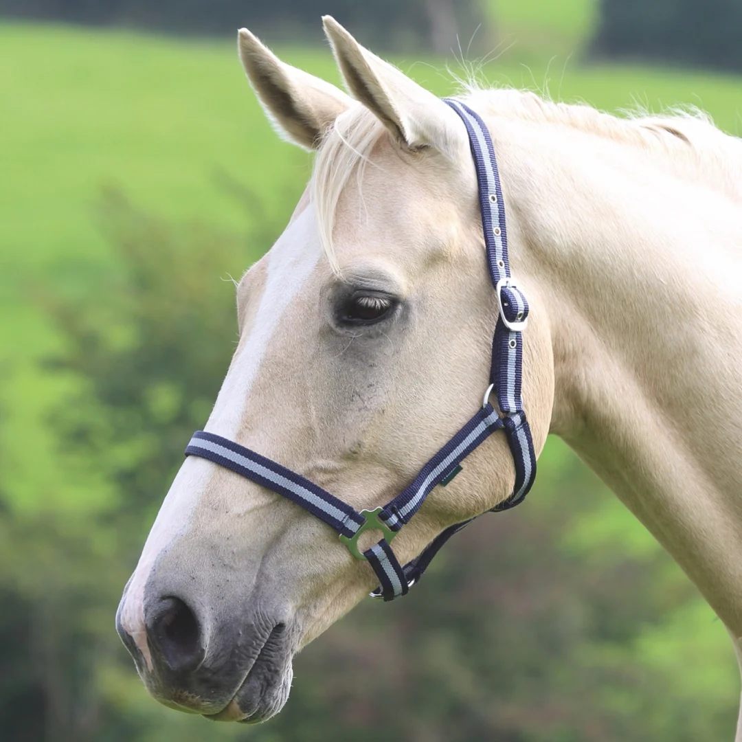 Shires Wessex Headcollar - Image 4