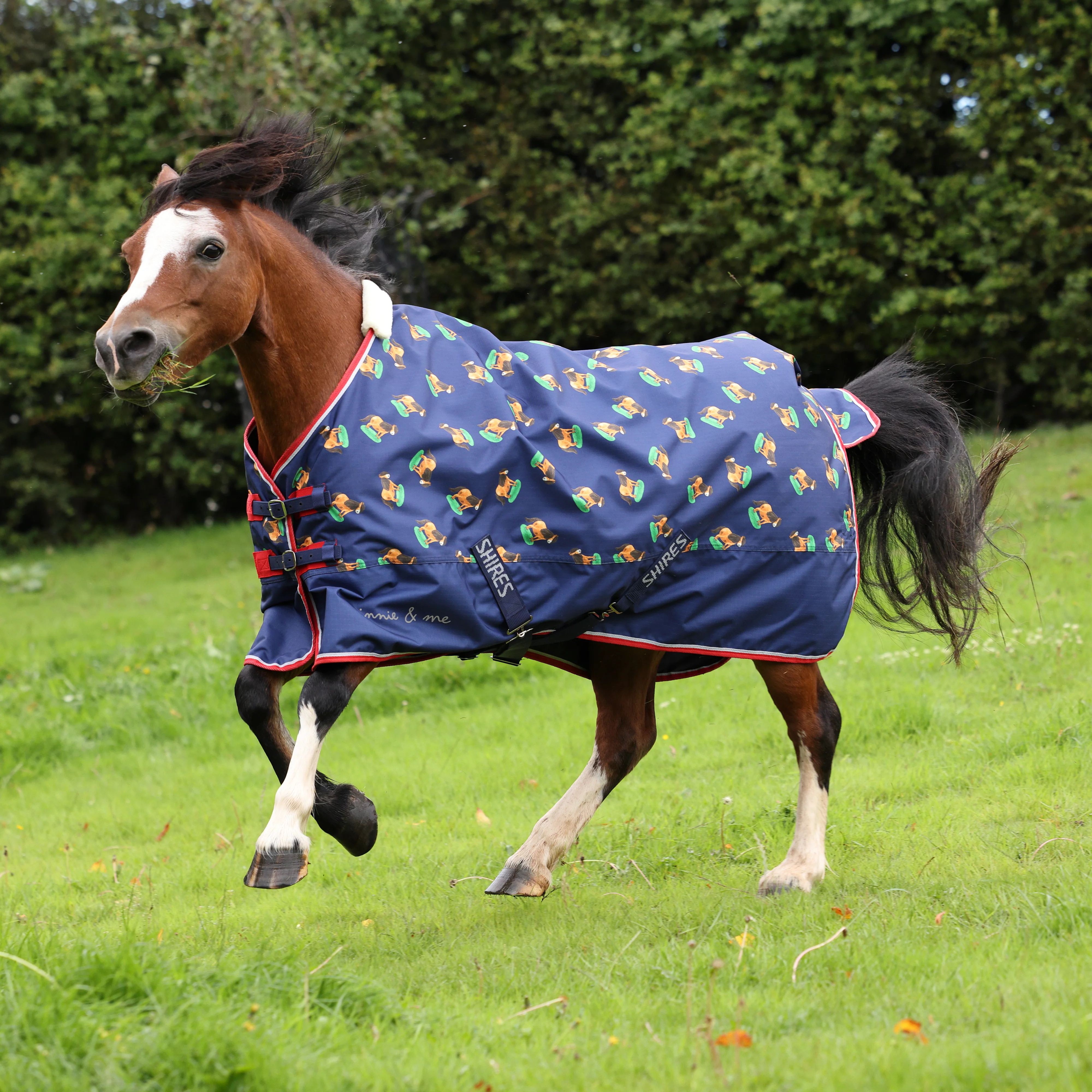 Shires Winnie & Me Lite Turnout Rug