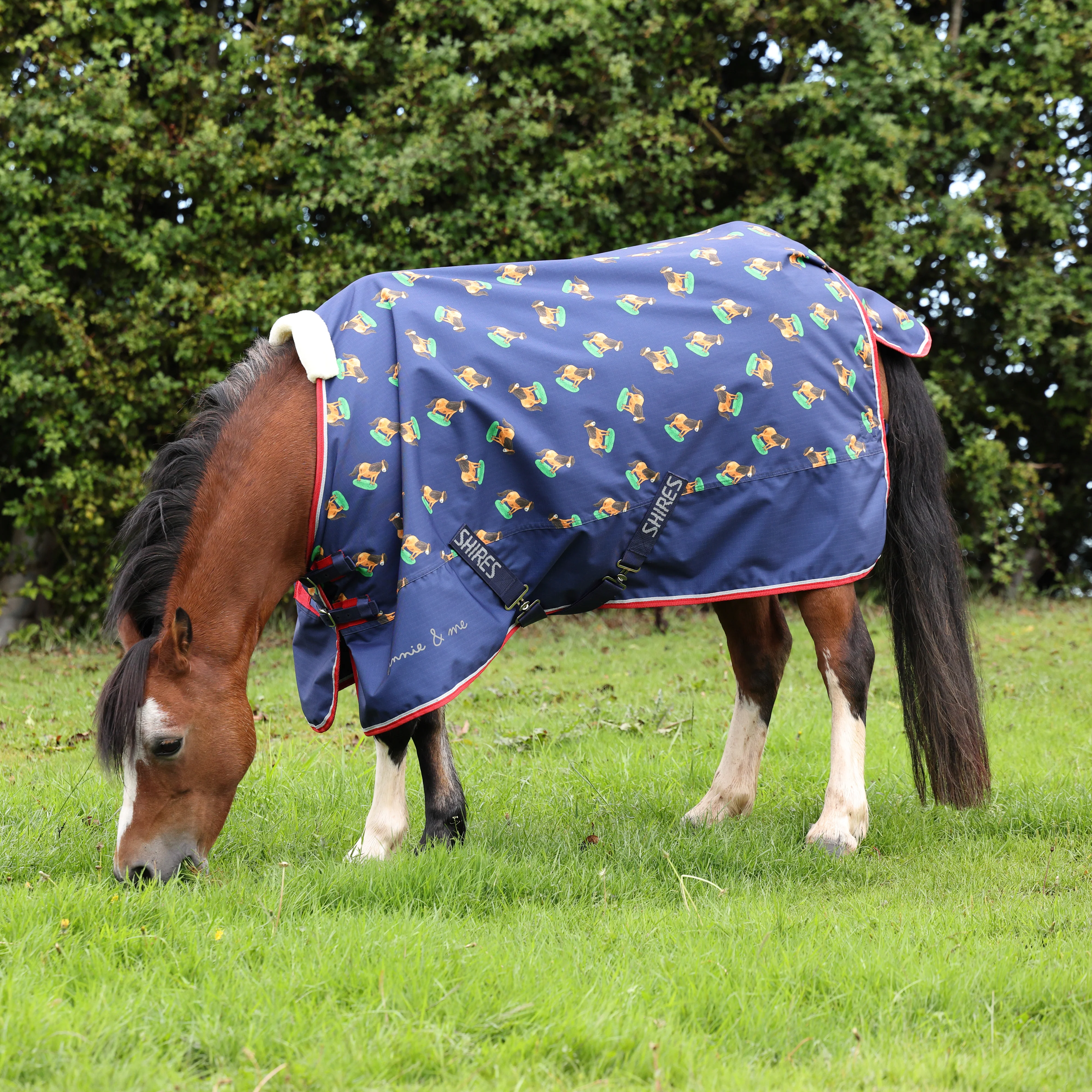 Shires Winnie & Me Lite Turnout Rug - Image 2