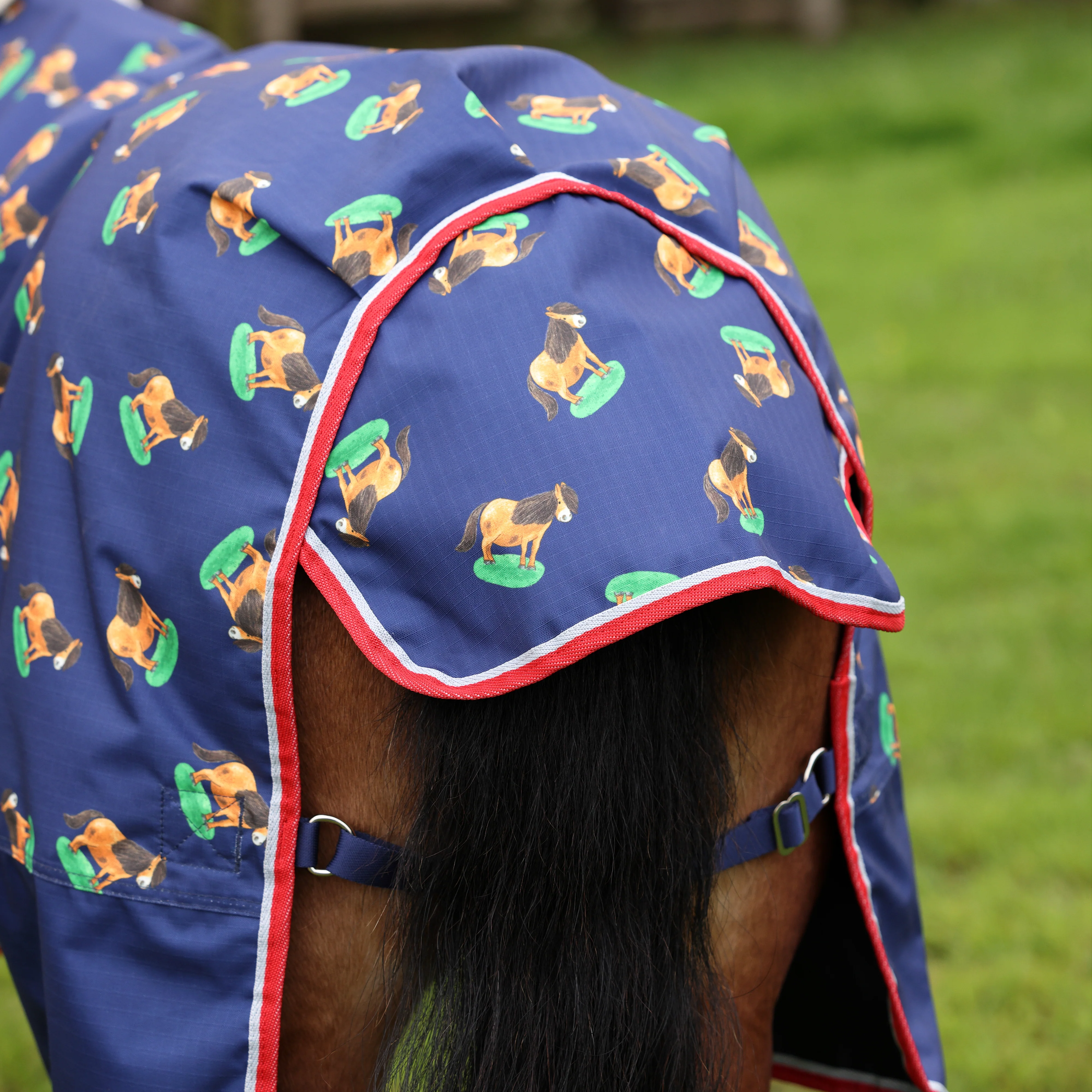 Shires Winnie & Me Lite Turnout Rug - Image 5