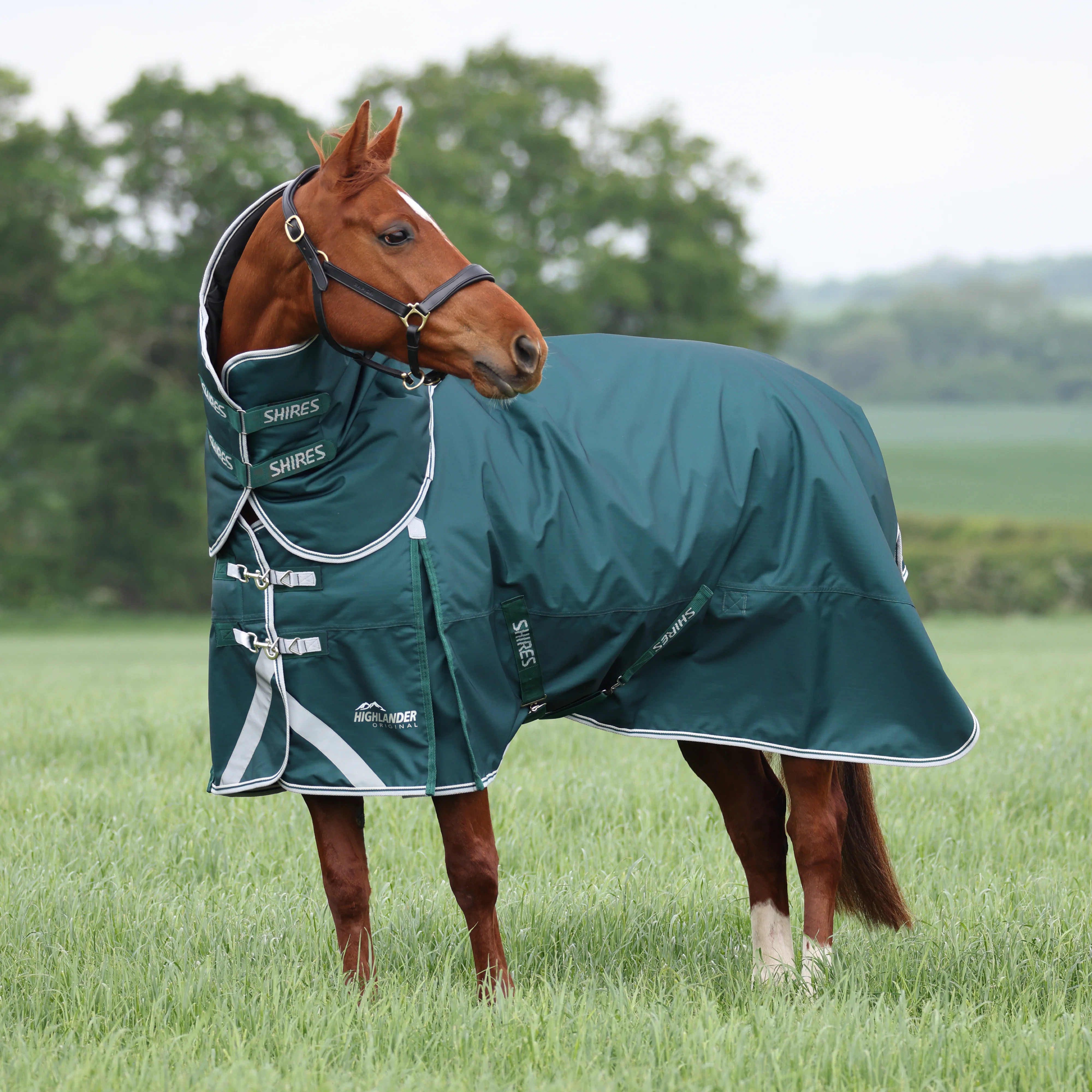 Shires Highlander Original 300g Turnout Rug & Neck - Image 3