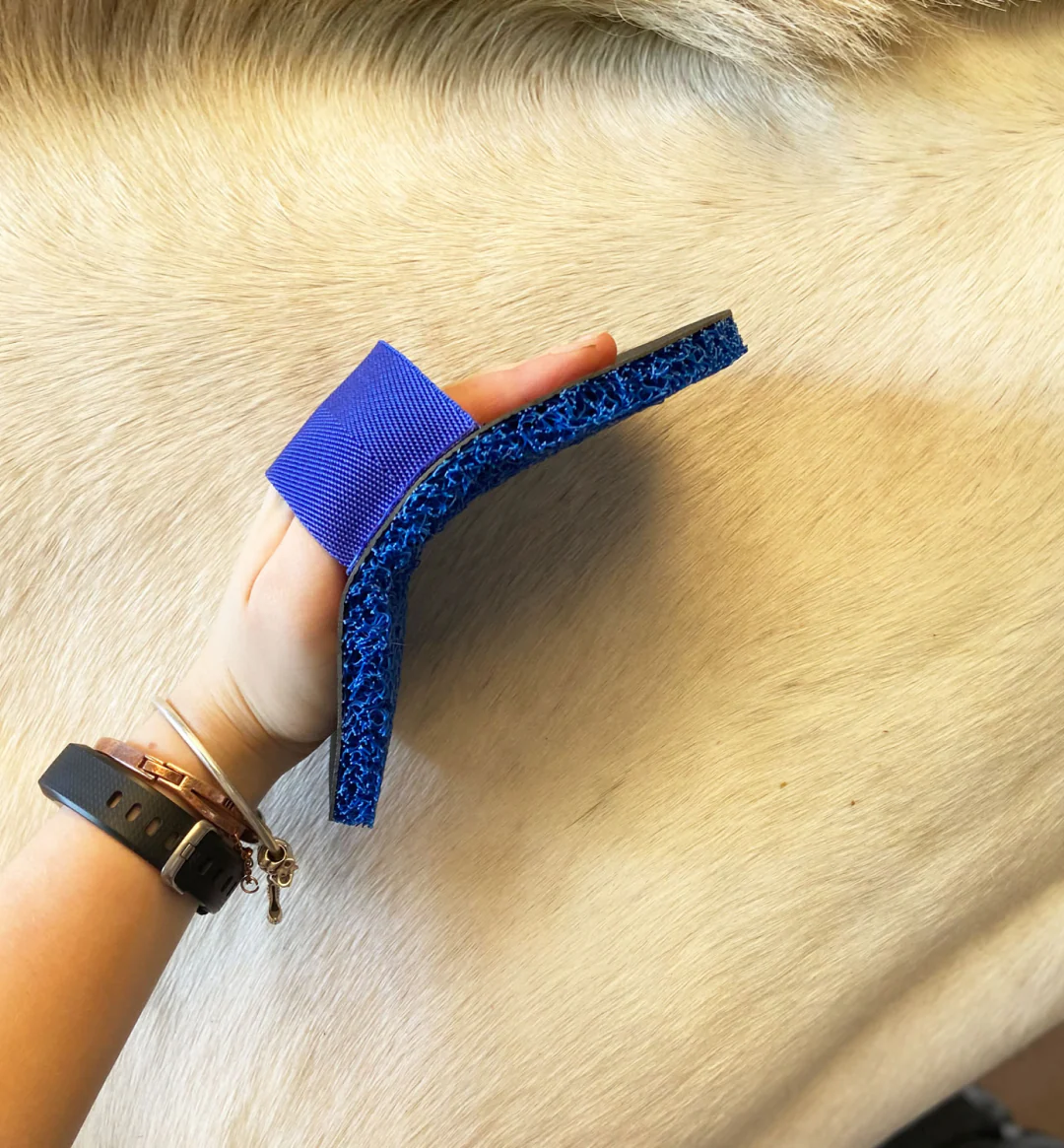 Smart Grooming Deluxe Super Groomer - Image 3
