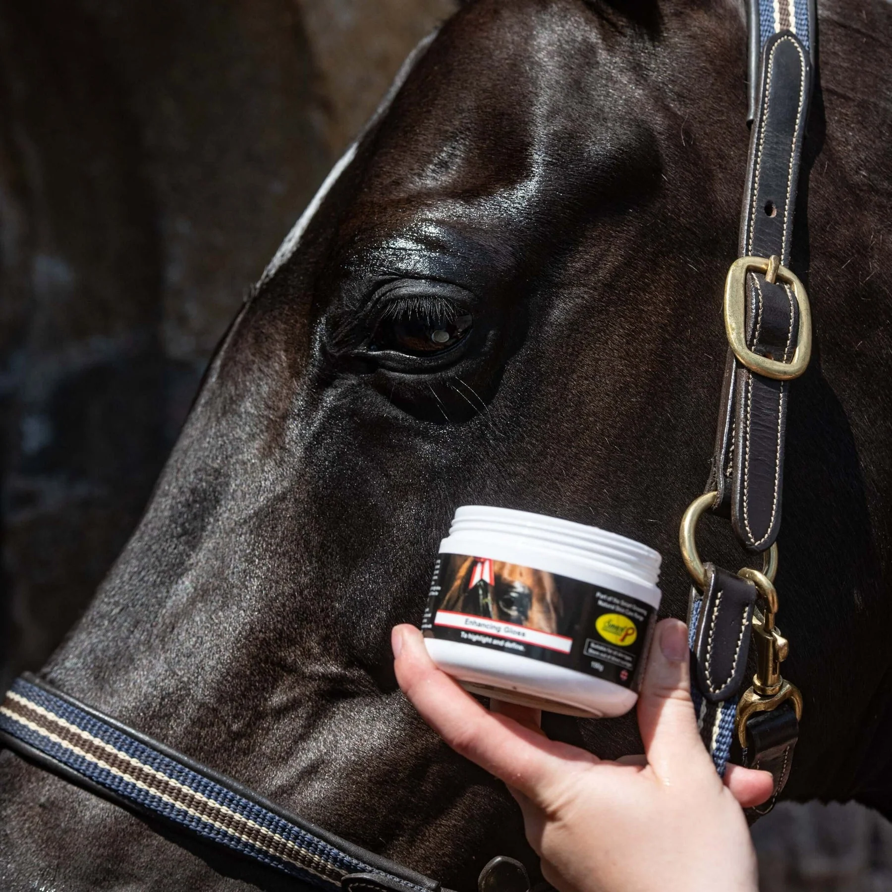 Smart Grooming Enhancing Gloss - Image 2