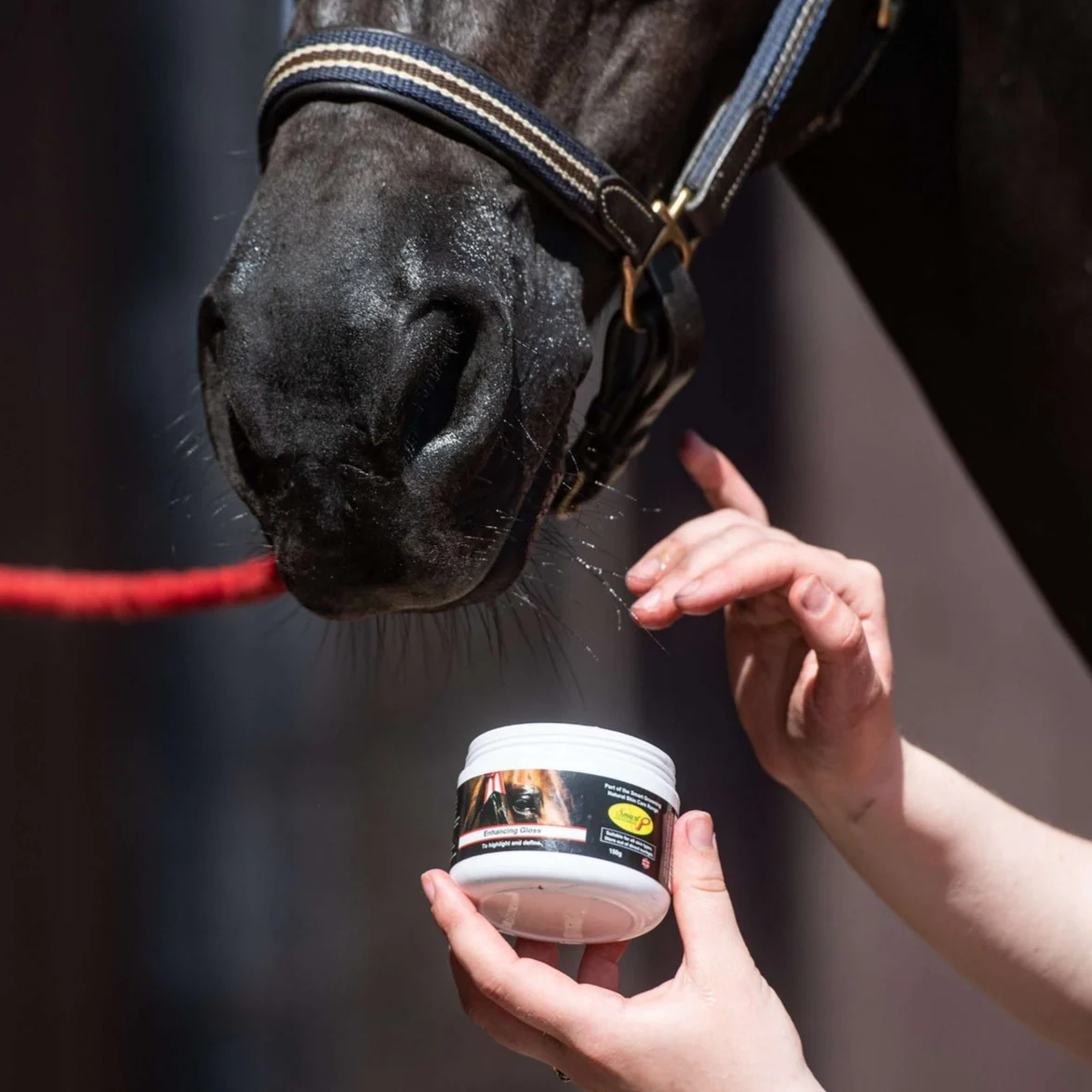 Smart Grooming Enhancing Gloss - Image 3