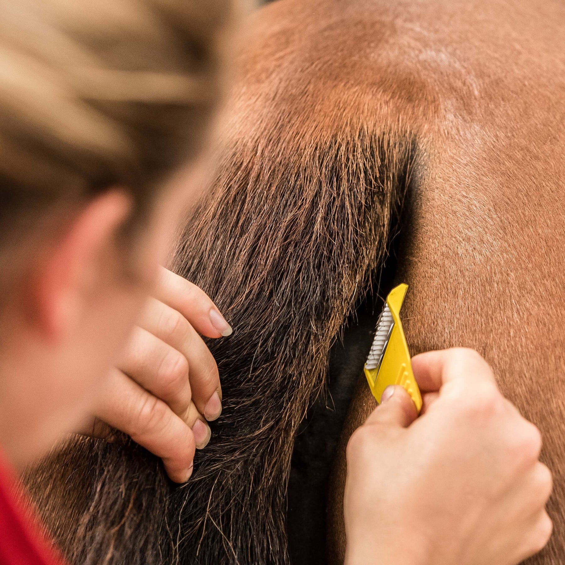 Smart Grooming Equi-Shave - Single - Image 2