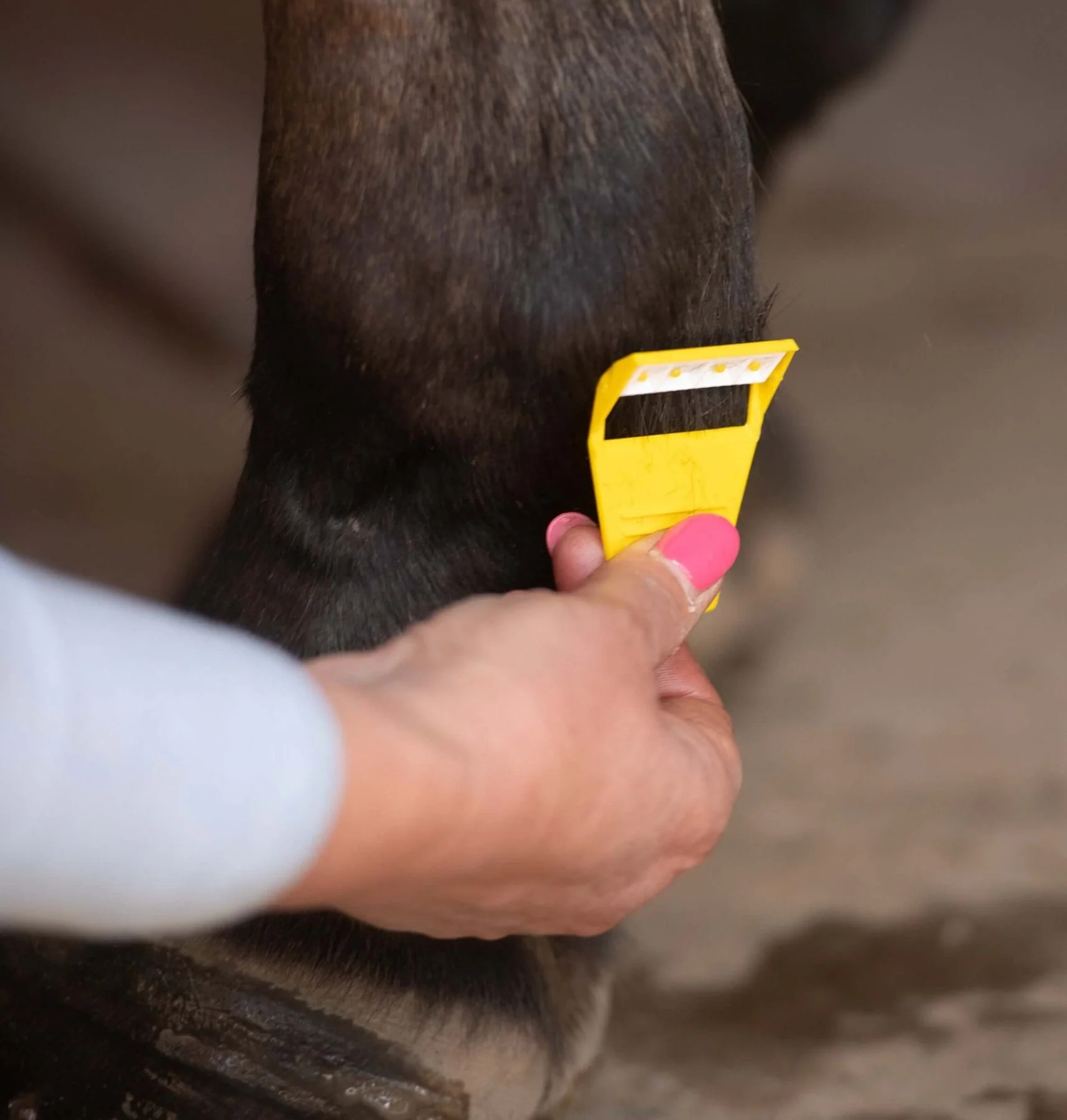 Smart Grooming Equi-Shave - Single - Image 3