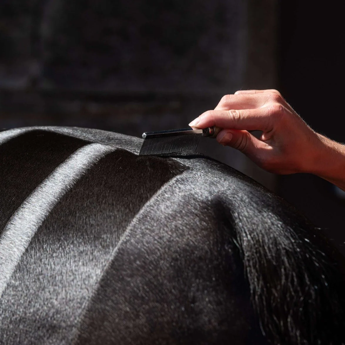 Smart Grooming Hunter Marker Comb - Image 3