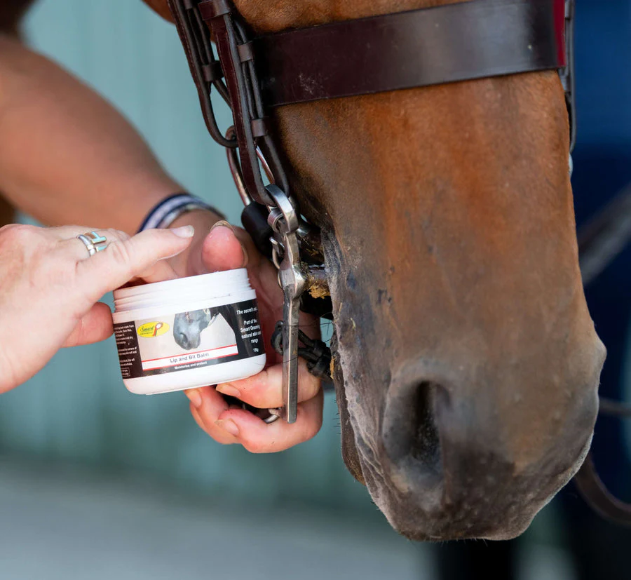 Smart Grooming Lip and Bit Balm - Image 3