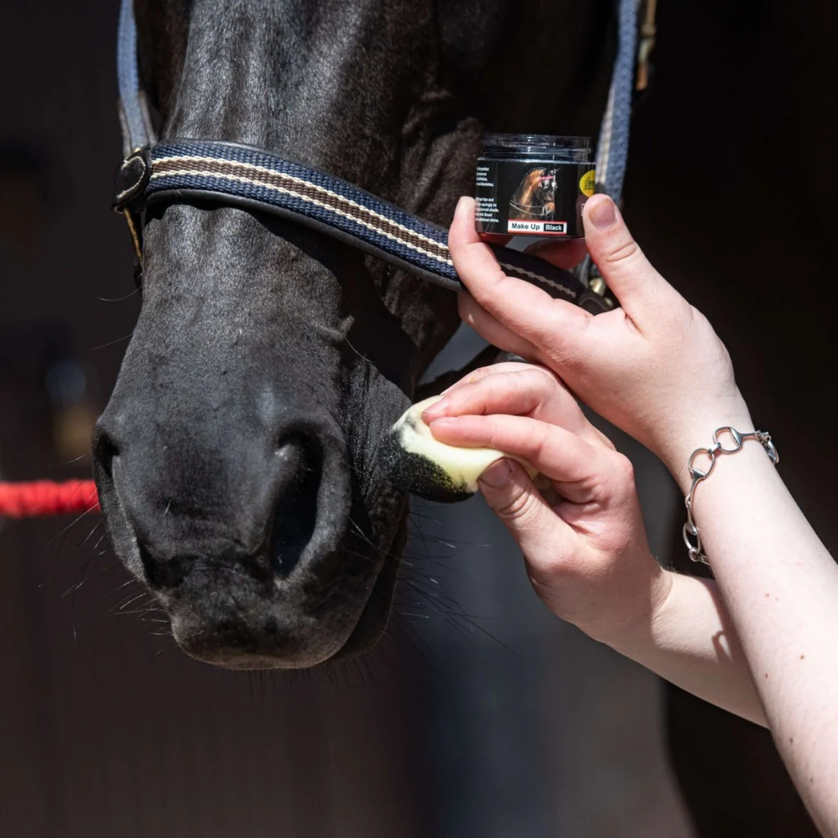 Smart Grooming Make Up for Horses - Image 3