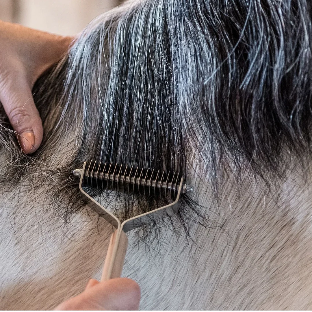 Smart Grooming Smart Manes - Image 5