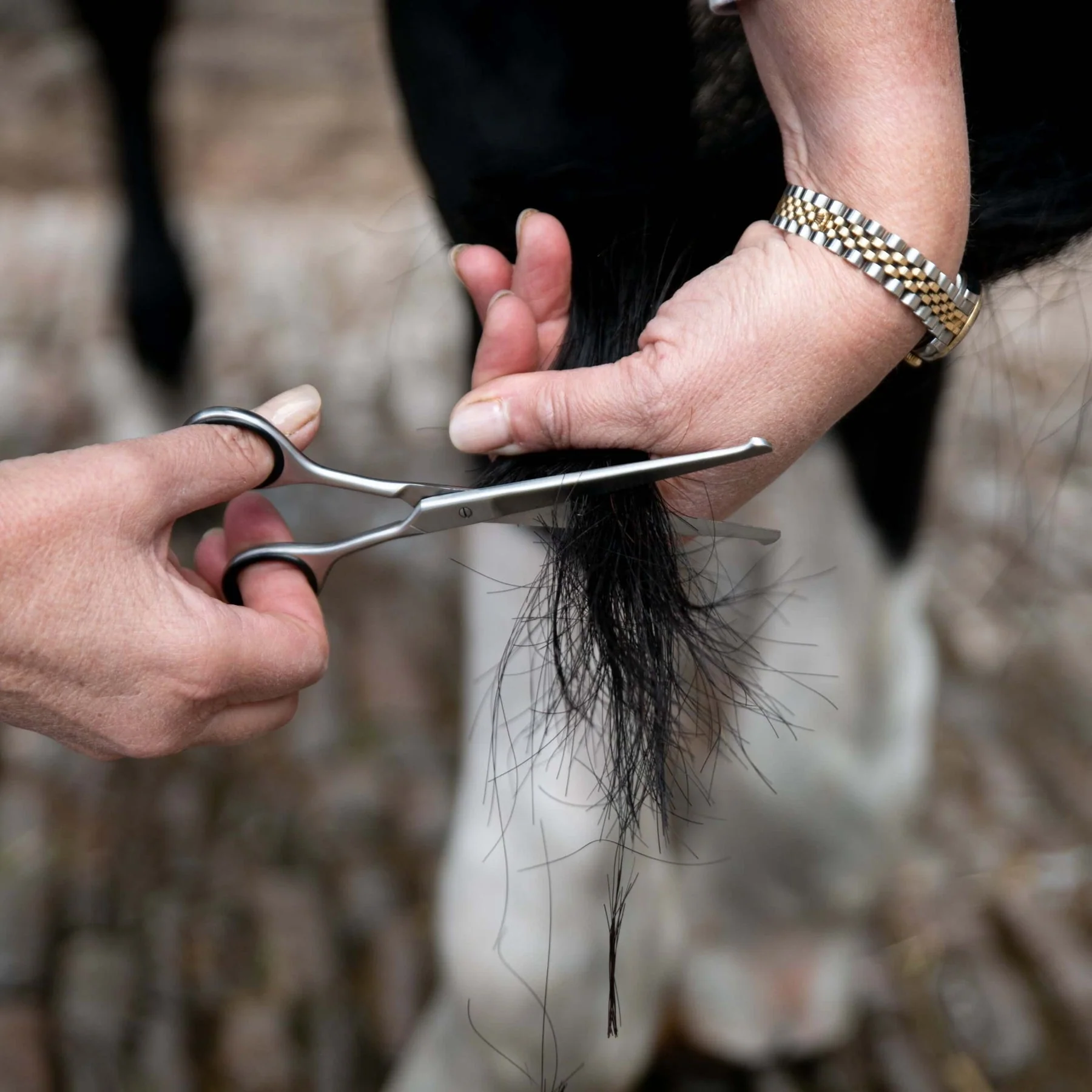 Smart Grooming Straight Safety Scissor - Image 2