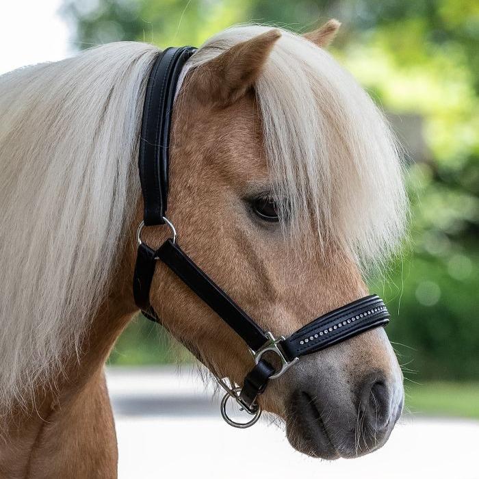 STAR Diamond Leather Halter - Image 3