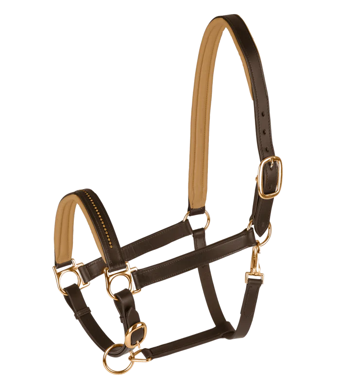 STAR Diamond Leather Halter - Image 4